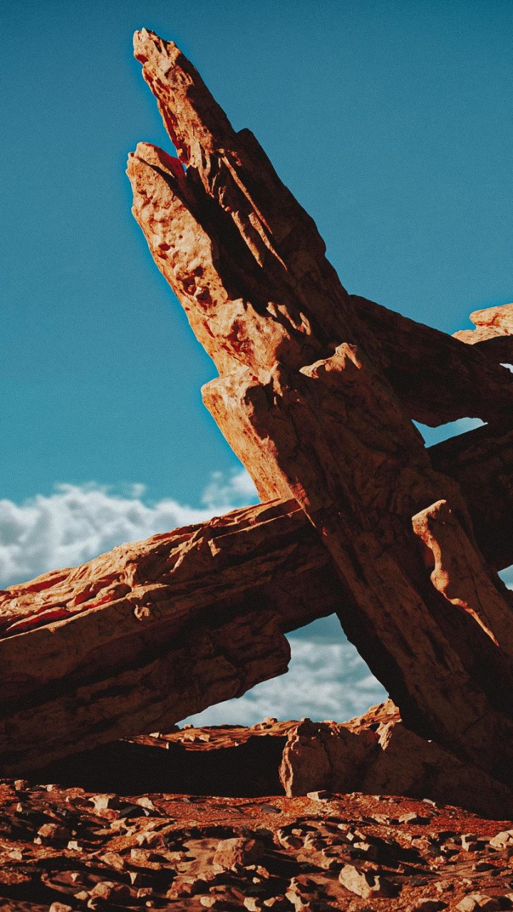 ZBrush, Cloud, People in Nature, Natural Landscape, Trunk. Wallpaper in 720x1280 Resolution