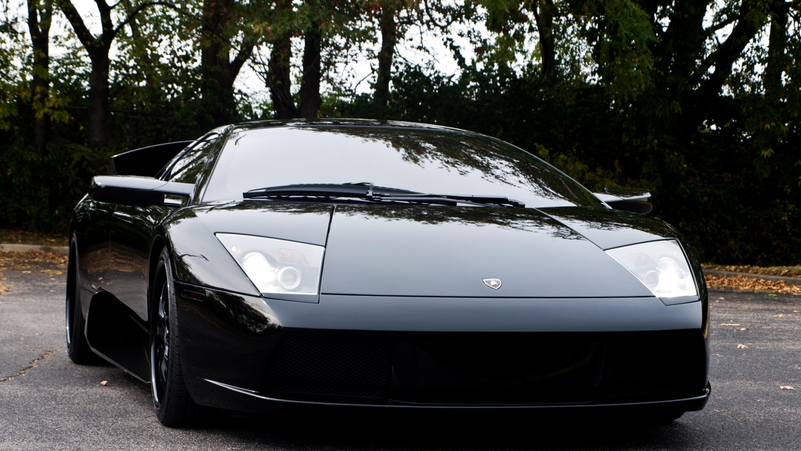 Black Porsche 911 Parked on Gray Concrete Pavement Near Green Trees During Daytime. Wallpaper in 2560x1440 Resolution