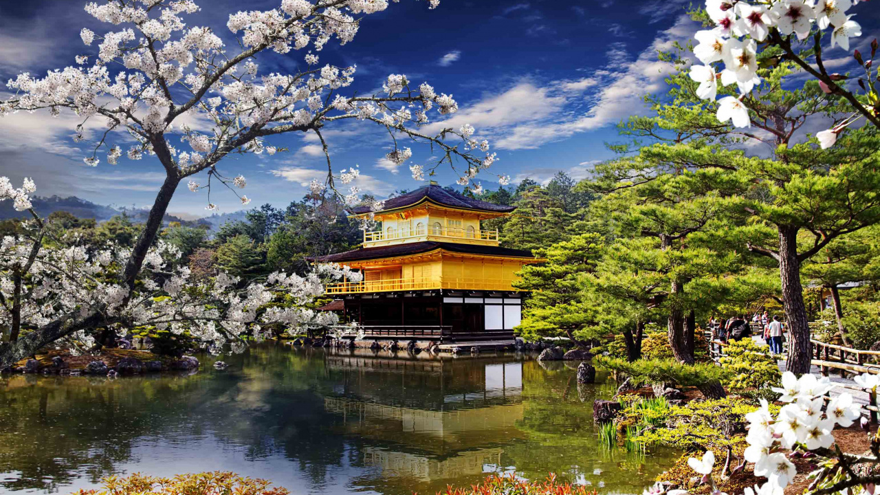 Brown and Green Wooden House Near Body of Water Under Blue Sky During Daytime. Wallpaper in 1280x720 Resolution