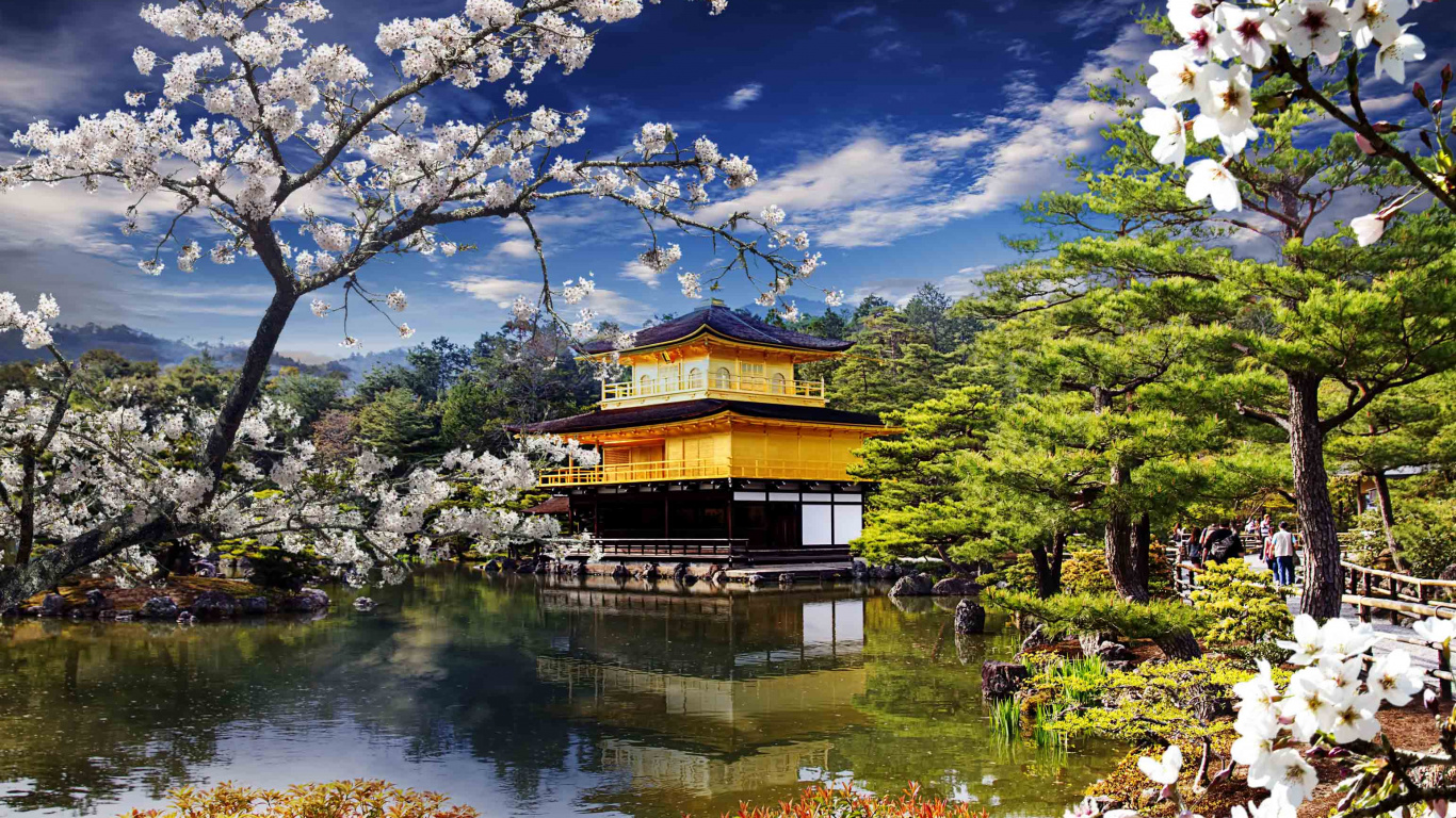 Brown and Green Wooden House Near Body of Water Under Blue Sky During Daytime. Wallpaper in 1366x768 Resolution