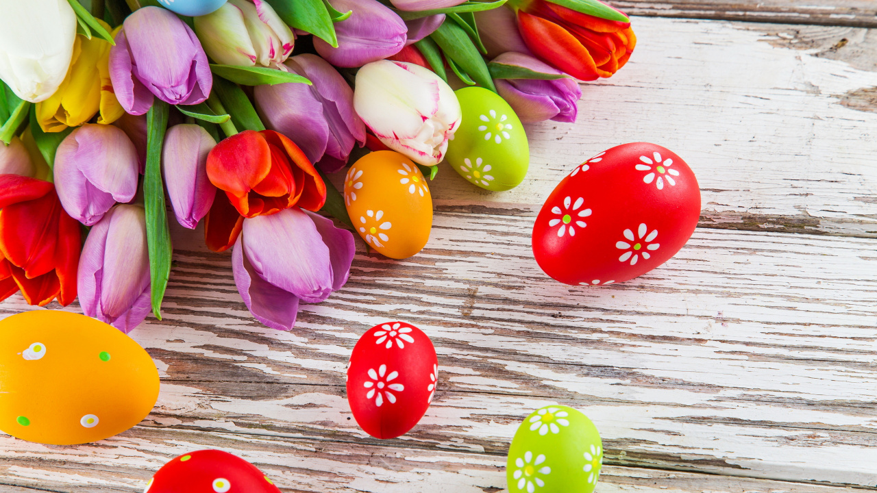Oeuf de Pâques, Pâques, Aliment, Tulip, Gâteau. Wallpaper in 1280x720 Resolution