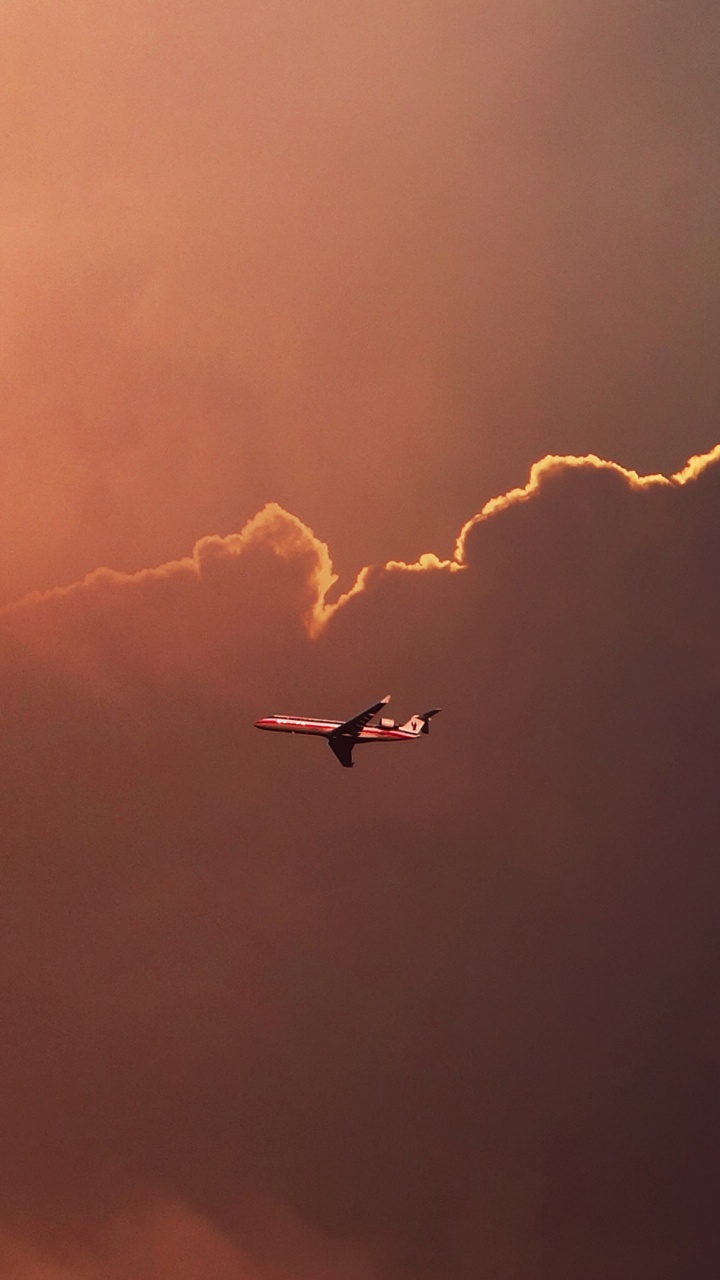Weißer Und Schwarzer Vogel, Der Tagsüber Unter Weißen Wolken Fliegt. Wallpaper in 720x1280 Resolution