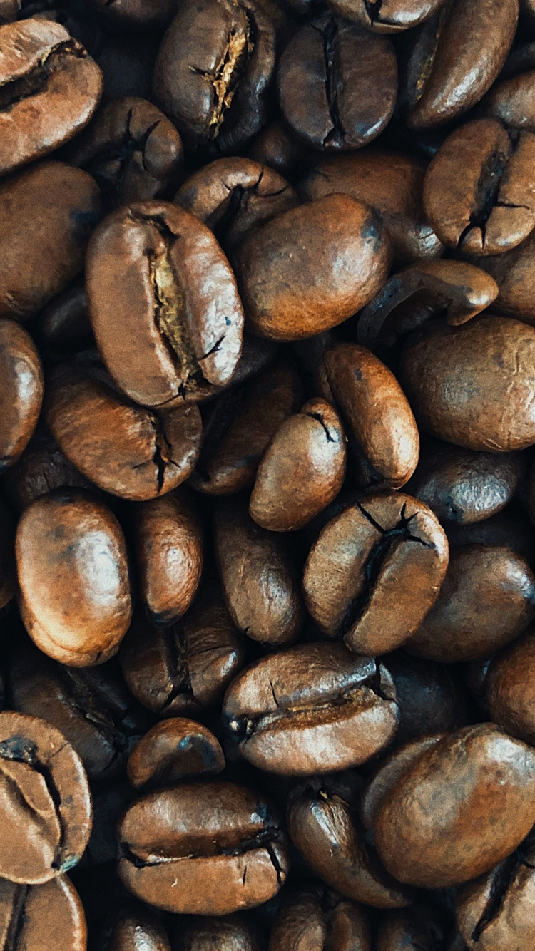 le Café Jamaïcain Blue Mountain, IOS, Apple, IOS 14, Brown. Wallpaper in 750x1334 Resolution