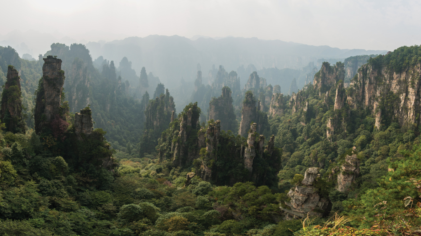 Green Trees on Mountain During Foggy Day. Wallpaper in 1366x768 Resolution