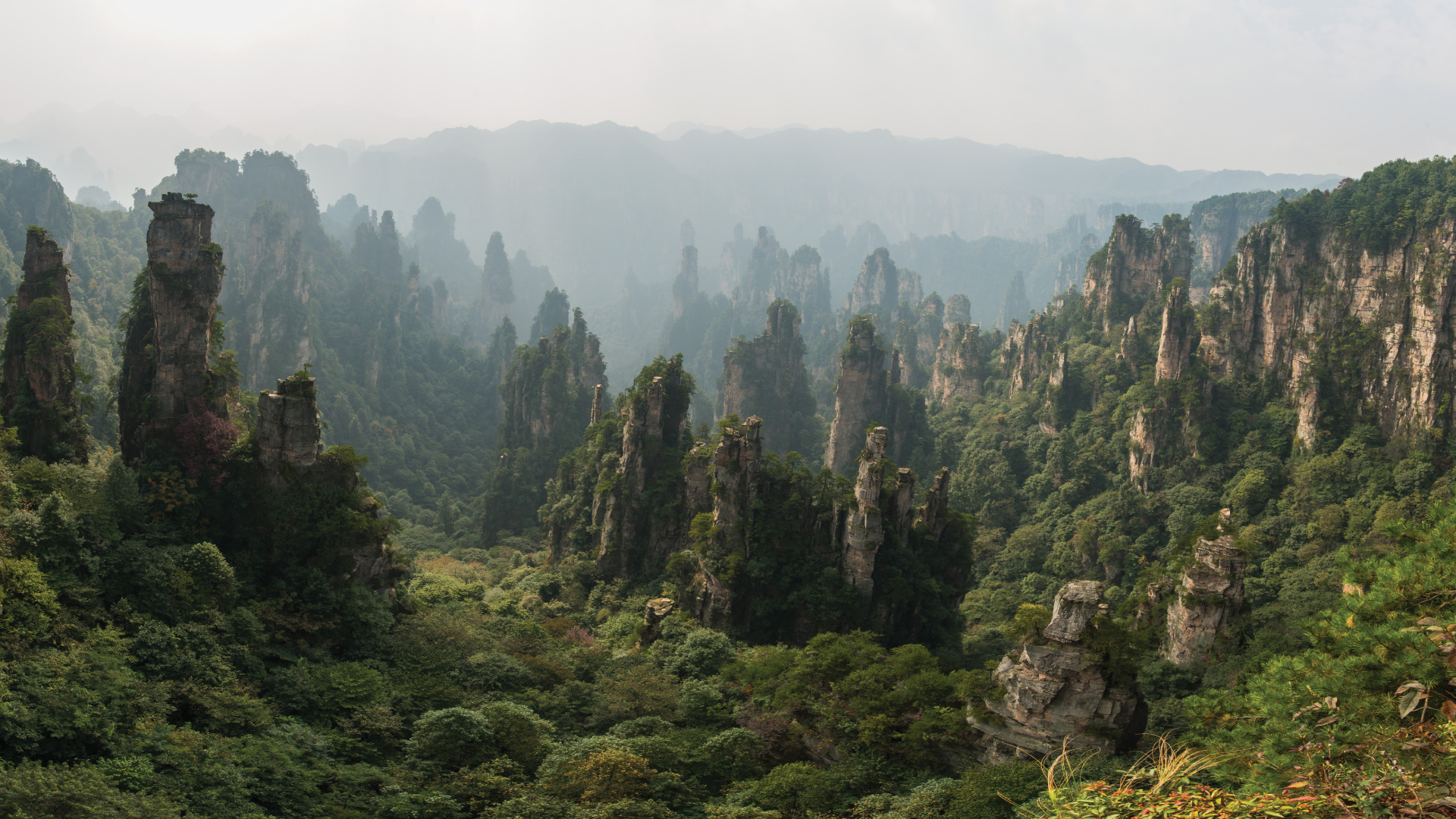 Green Trees on Mountain During Foggy Day. Wallpaper in 1920x1080 Resolution