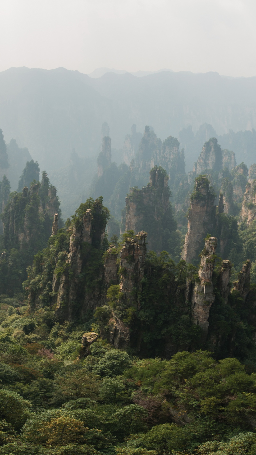 张家界天子山, 天门山, Zhangjiajie Glass Bridge, 多山的地貌, 植被 壁纸 1080x1920 允许