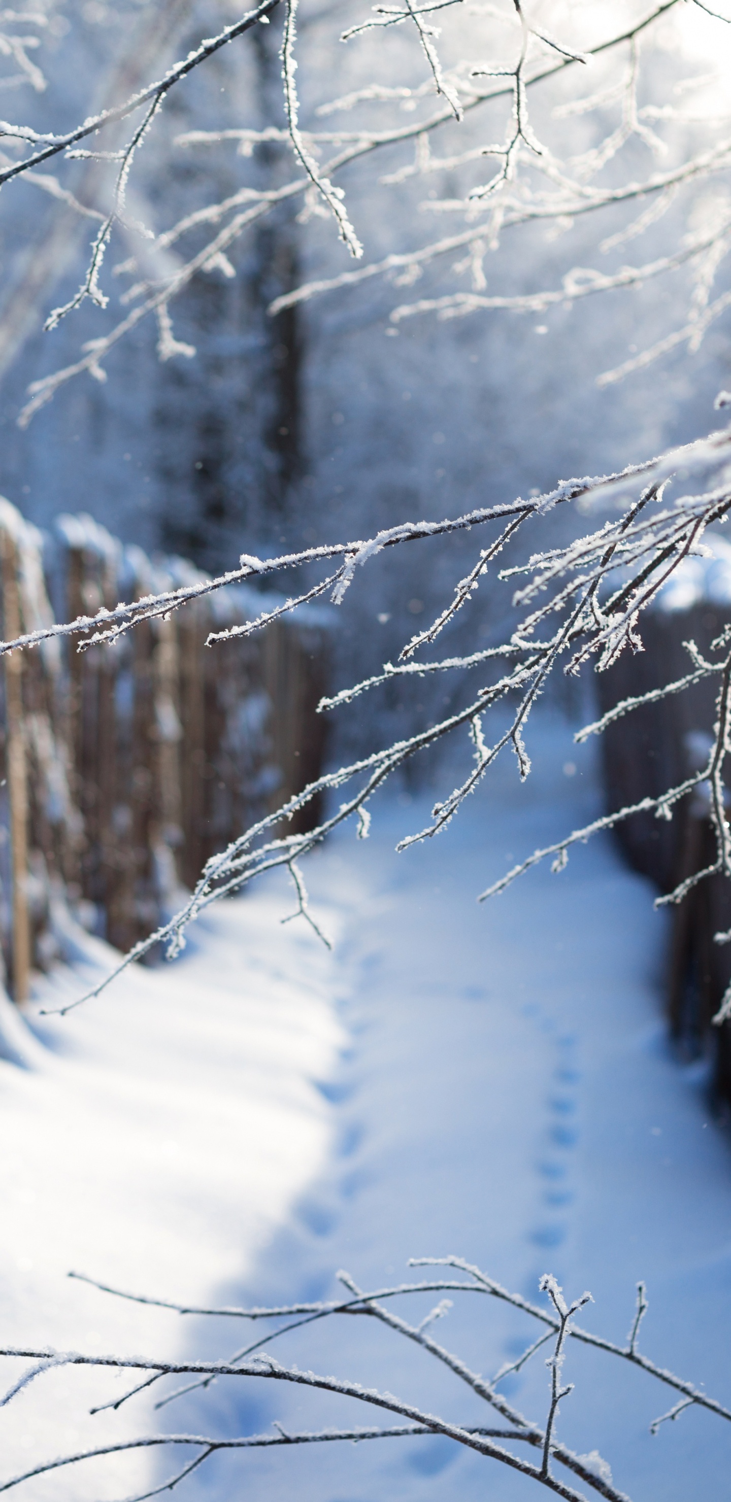 Brauner Holzzaun Mit Schnee Bedeckt. Wallpaper in 1440x2960 Resolution