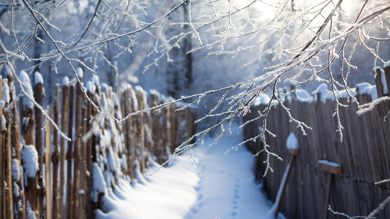 Brown Wooden Fence Covered With Snow. Wallpaper in 1366x768 Resolution