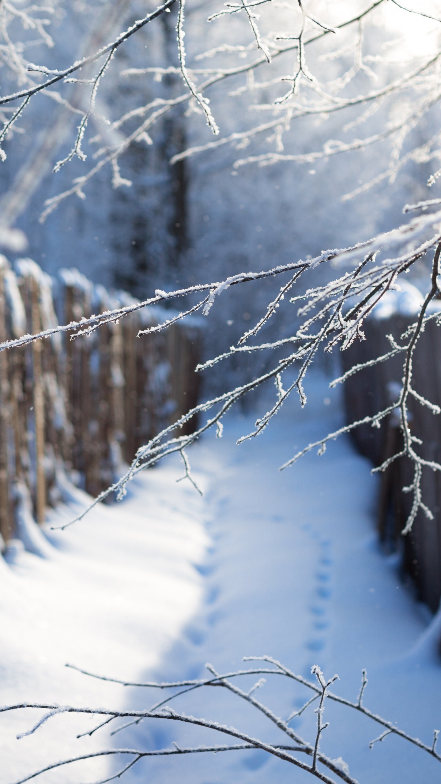 Brown Wooden Fence Covered With Snow. Wallpaper in 1440x2560 Resolution