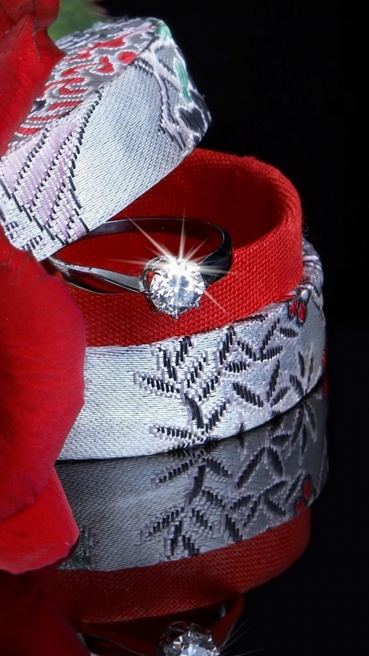 红色的, 玫瑰花园, 爱情, 显花植物, 玫瑰了 壁纸 750x1334 允许