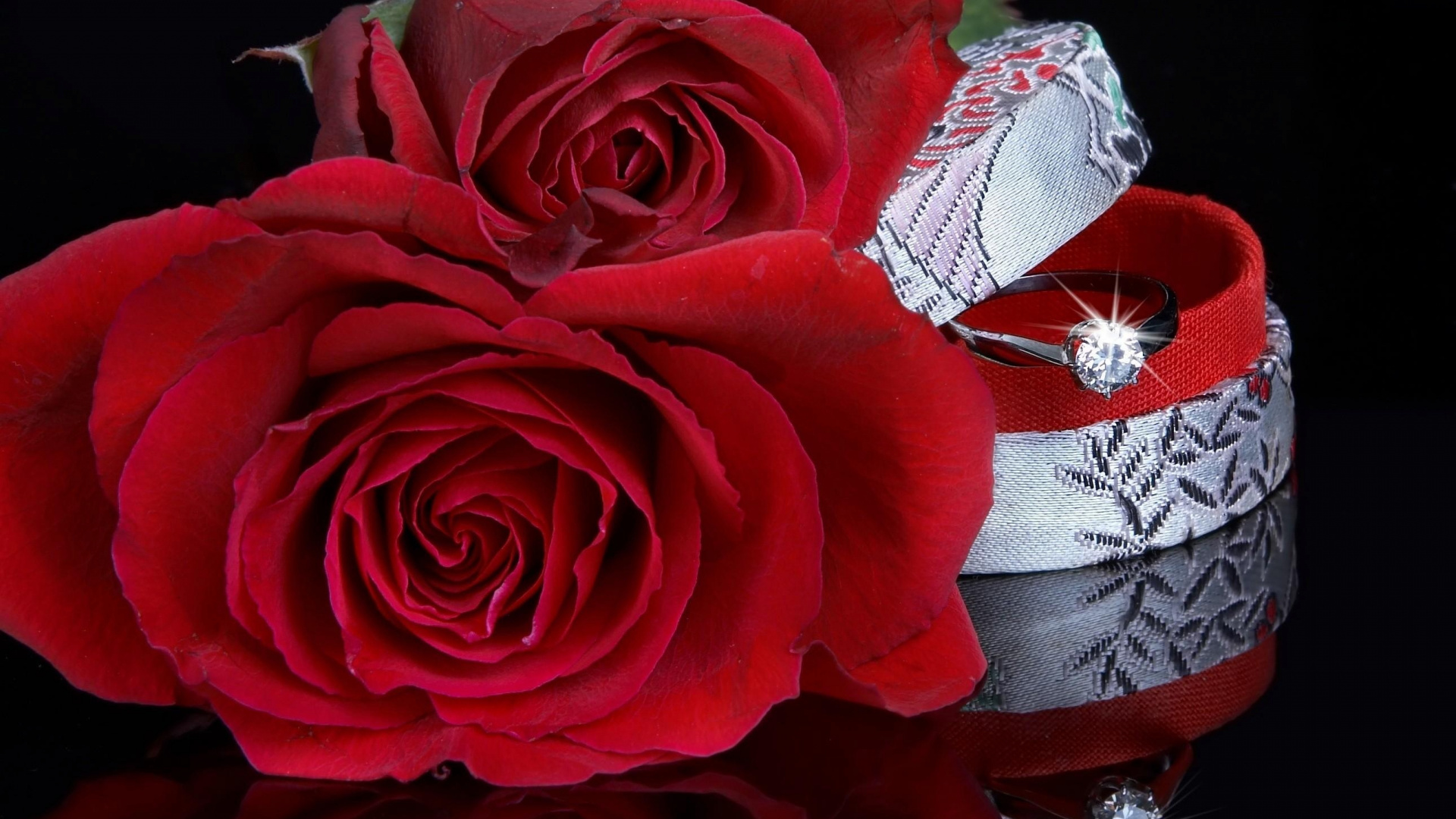 Rose, Red, Garden Roses, Petal, Love. Wallpaper in 1920x1080 Resolution