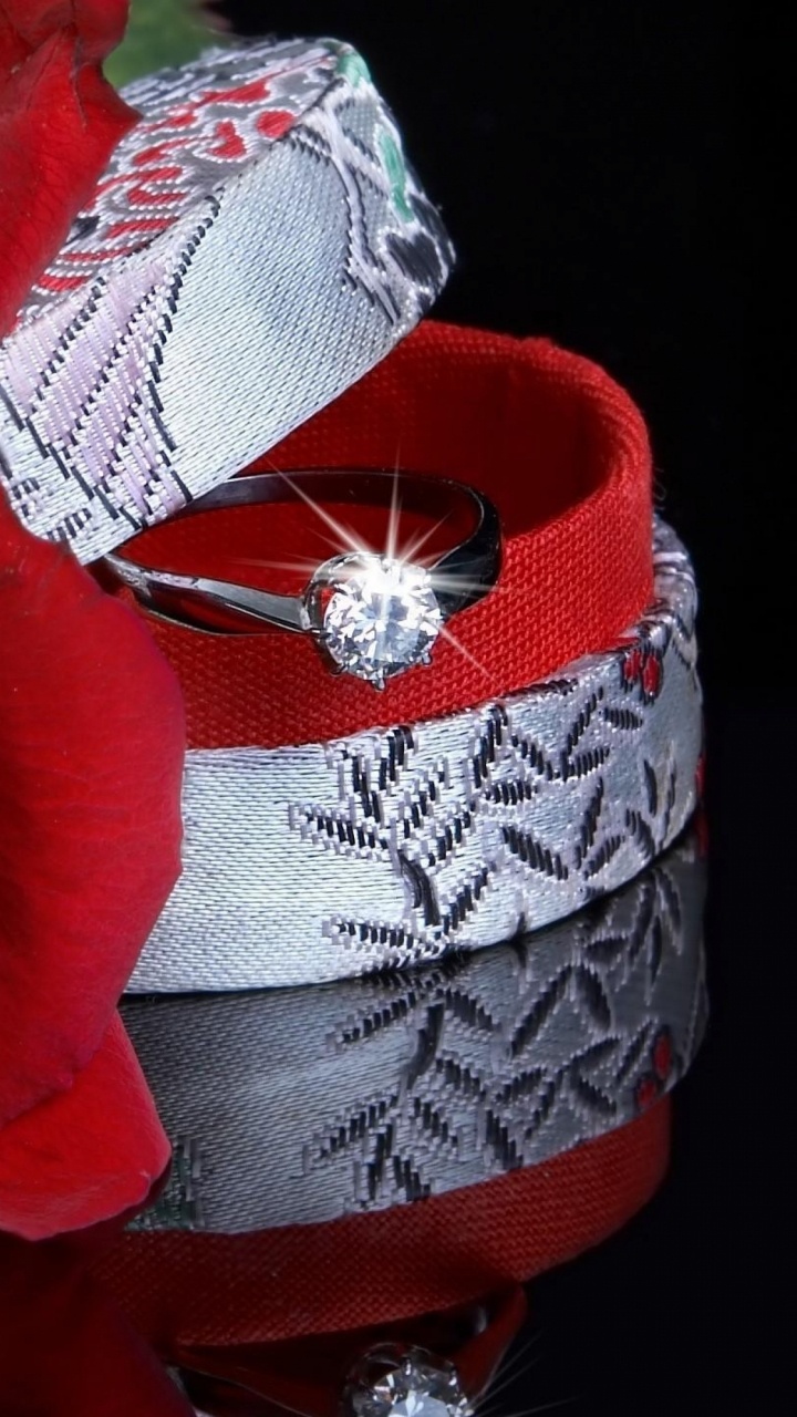 Rose, Red, Garden Roses, Petal, Love. Wallpaper in 720x1280 Resolution