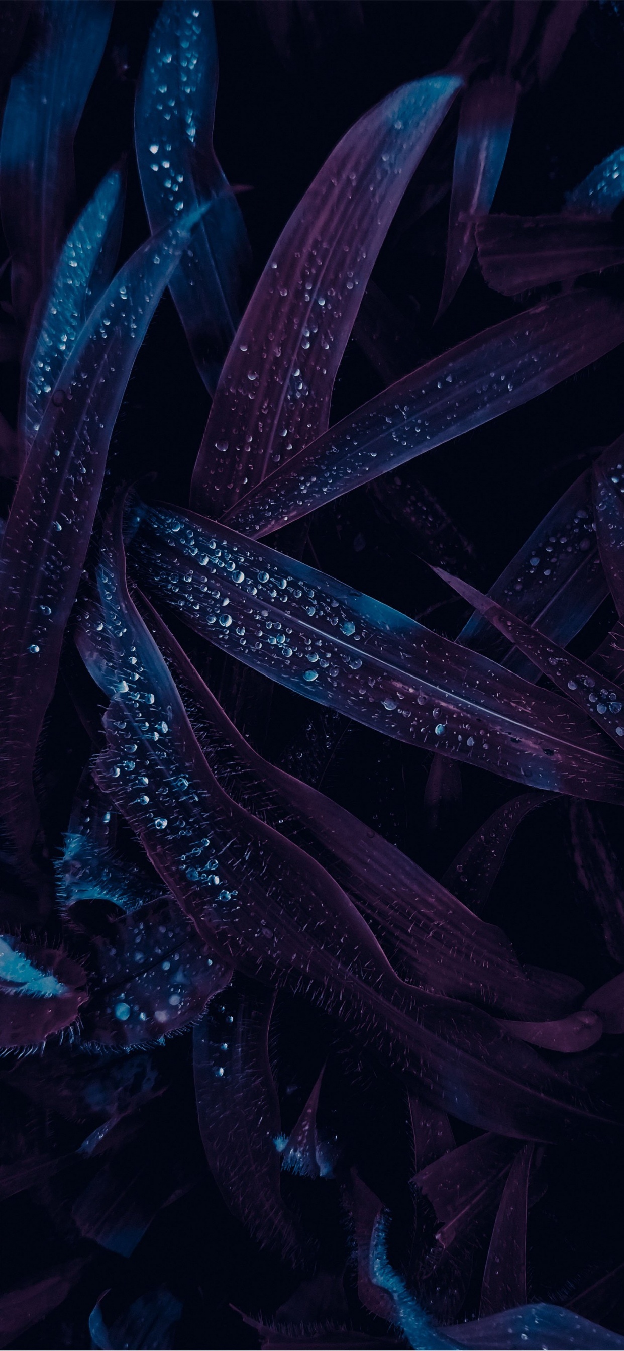 Close Up, Innenarchitektur, Wohnzimmergestaltung, Illustration, Design. Wallpaper in 1242x2688 Resolution