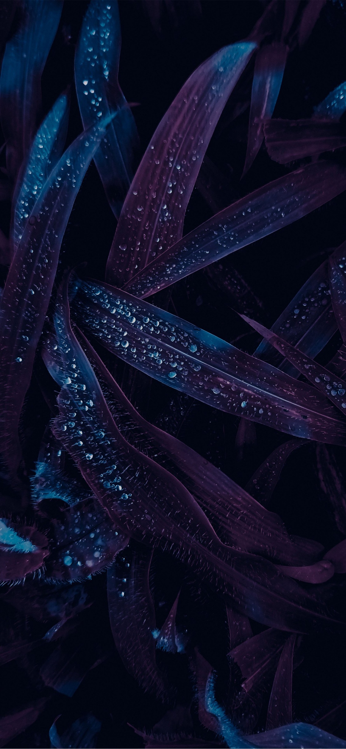 de Cerca, Diseño de Interiores, Diseño de Sala de Estar, Ilustración, Diseño. Wallpaper in 1125x2436 Resolution