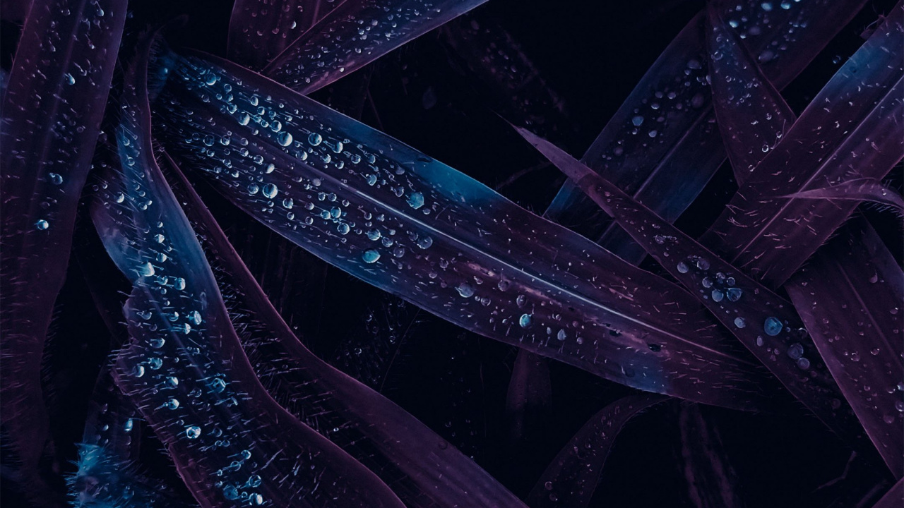 de Cerca, Diseño de Interiores, Diseño de Sala de Estar, Ilustración, Diseño. Wallpaper in 1280x720 Resolution