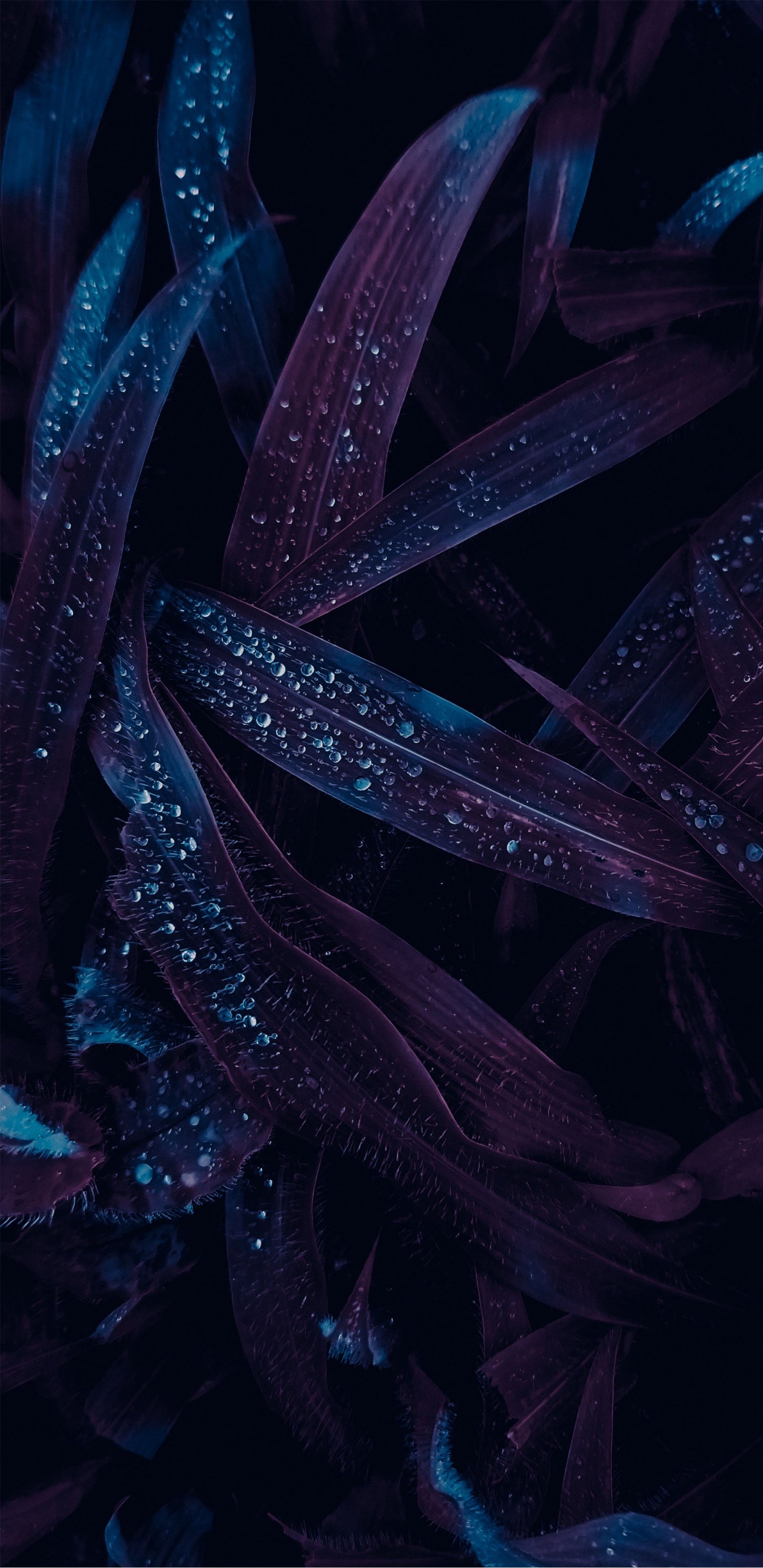 de Cerca, Diseño de Interiores, Diseño de Sala de Estar, Ilustración, Diseño. Wallpaper in 1440x2960 Resolution