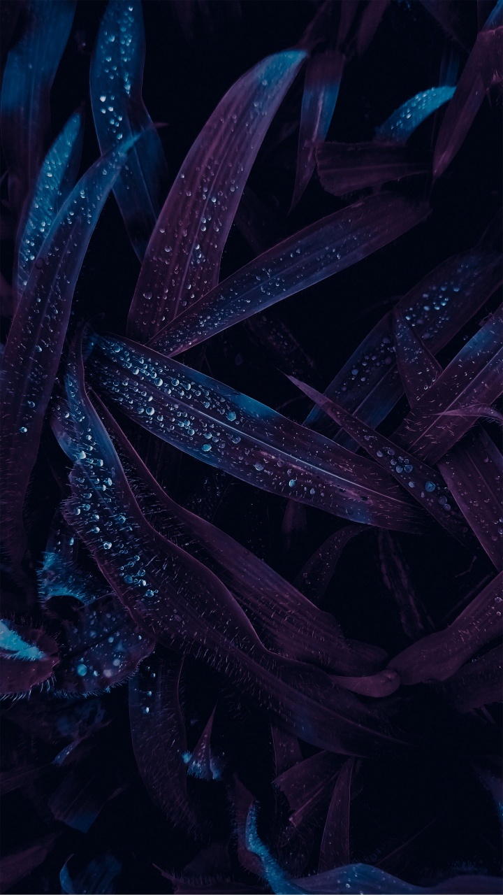 de Cerca, Diseño de Interiores, Diseño de Sala de Estar, Ilustración, Diseño. Wallpaper in 720x1280 Resolution