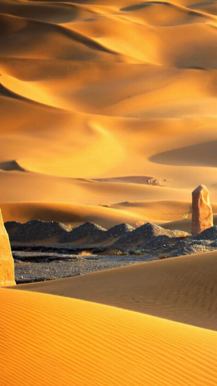 唱沙, Erg, 沙, 风积地貌, 撒哈拉 壁纸 750x1334 允许