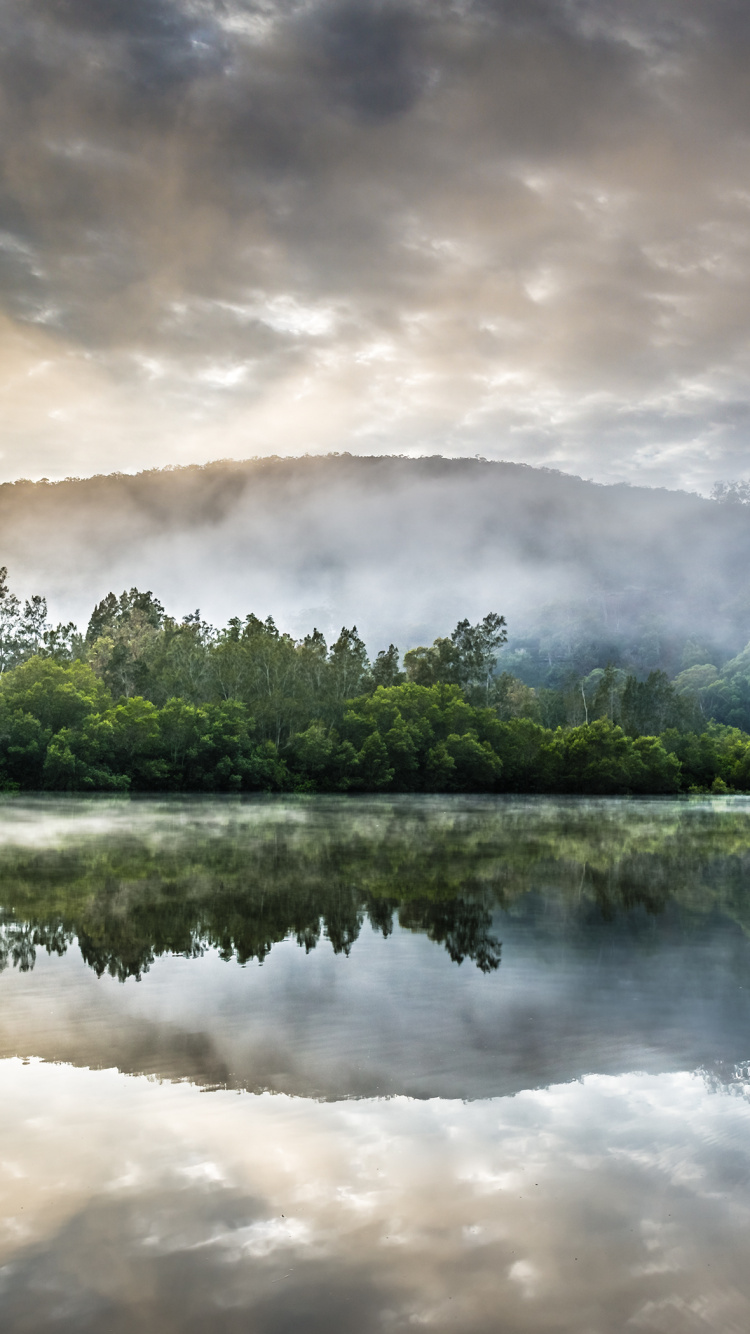 Arbres Verts au Bord du Lac Sous un Ciel Nuageux Pendant la Journée. Wallpaper in 750x1334 Resolution