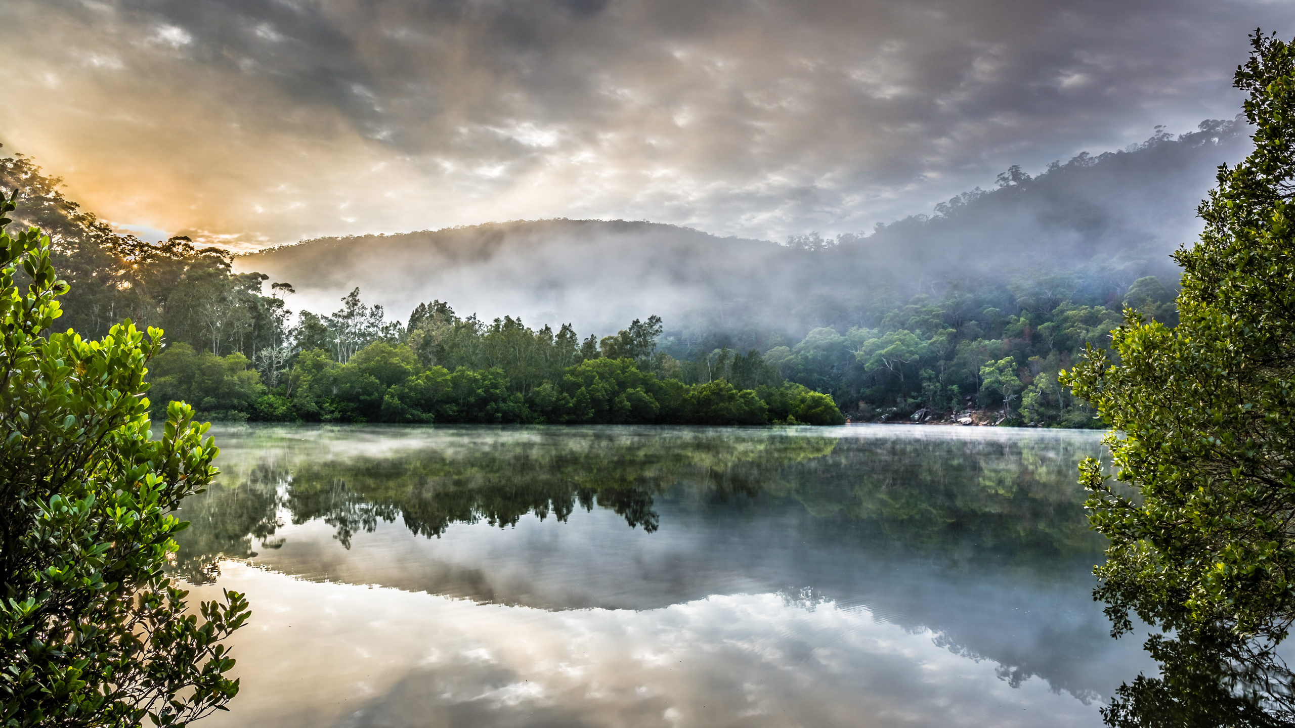 Árboles Verdes Junto al Lago Bajo un Cielo Nublado Durante el Día. Wallpaper in 2560x1440 Resolution
