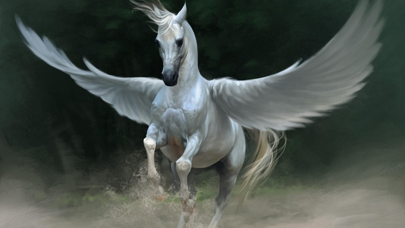 Cheval Blanc Courant Sur Sol Brun. Wallpaper in 1366x768 Resolution