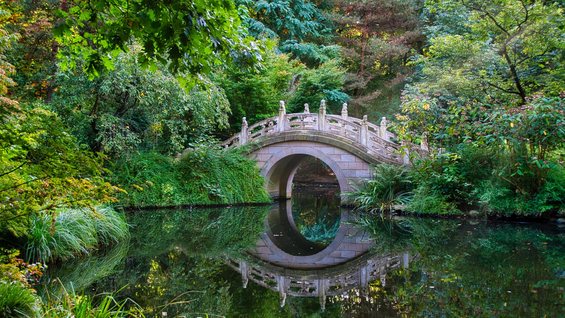 Garden, Jardin Chinois, Eau, Paysage Naturel, Biome. Wallpaper in 1920x1080 Resolution