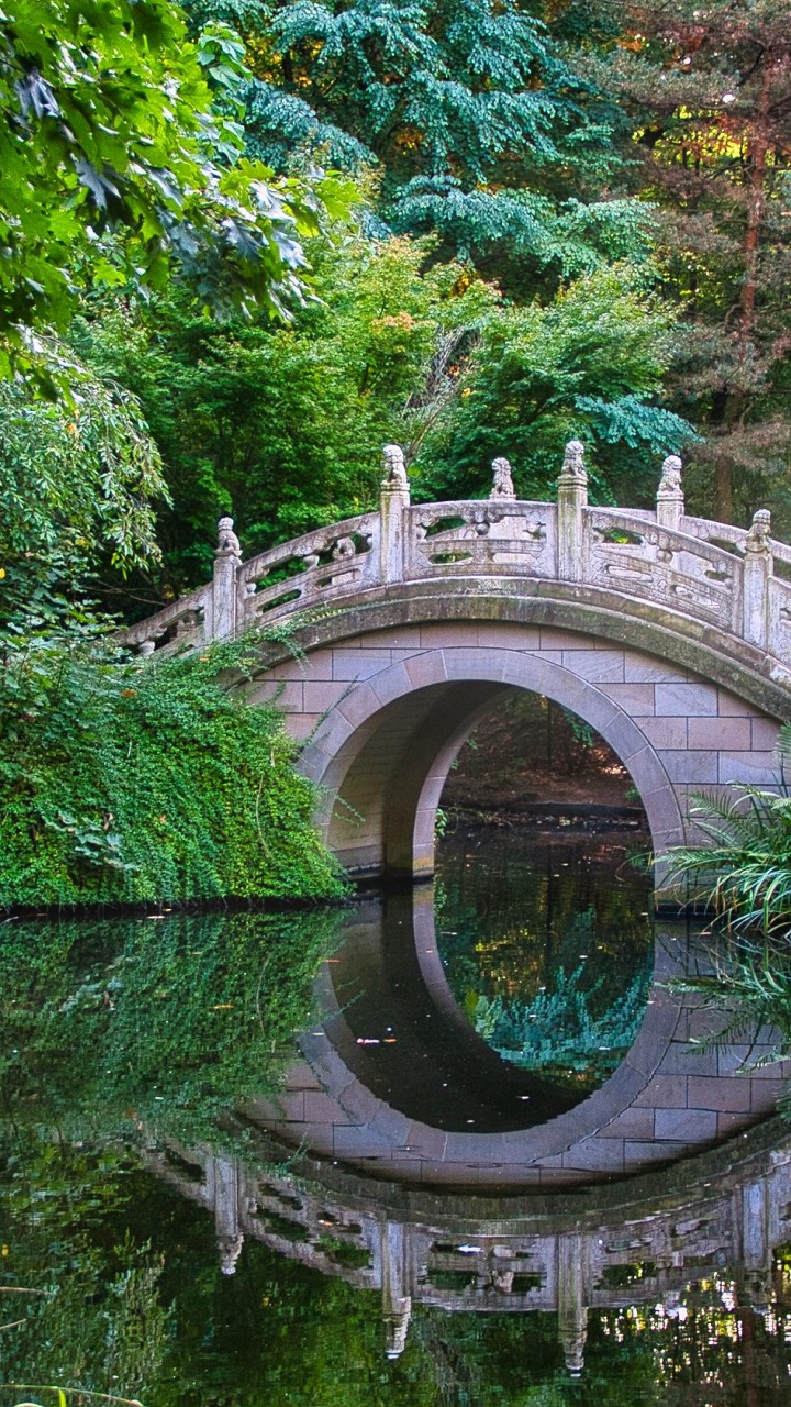 Garden, Jardin Chinois, Eau, Paysage Naturel, Biome. Wallpaper in 720x1280 Resolution