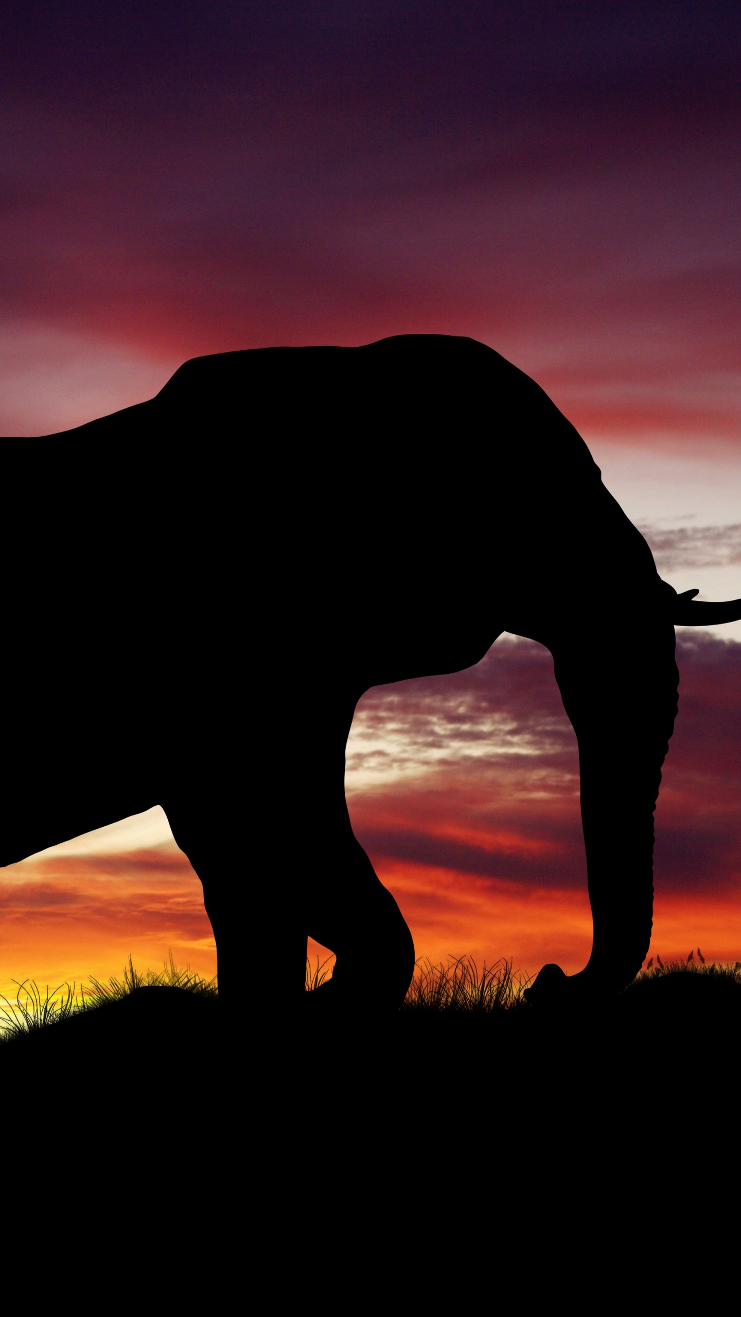 Silhouette of Elephant on Grass Field During Sunset. Wallpaper in 1440x2560 Resolution
