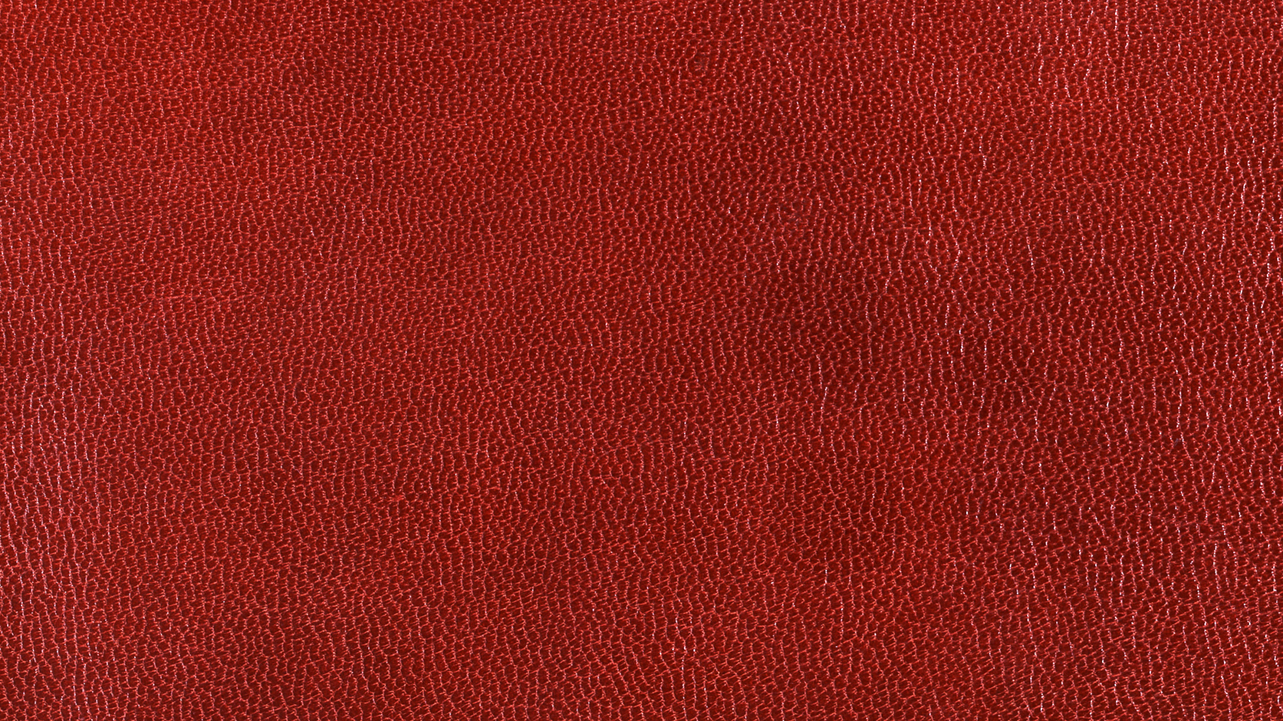 Textile Rouge en Gros Plan Image. Wallpaper in 2560x1440 Resolution