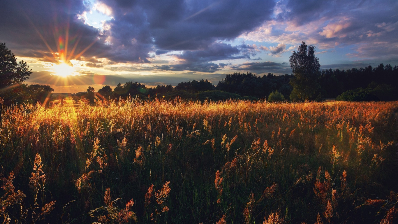 Brown Grass Field Under Cloudy Sky During Daytime. Wallpaper in 1366x768 Resolution