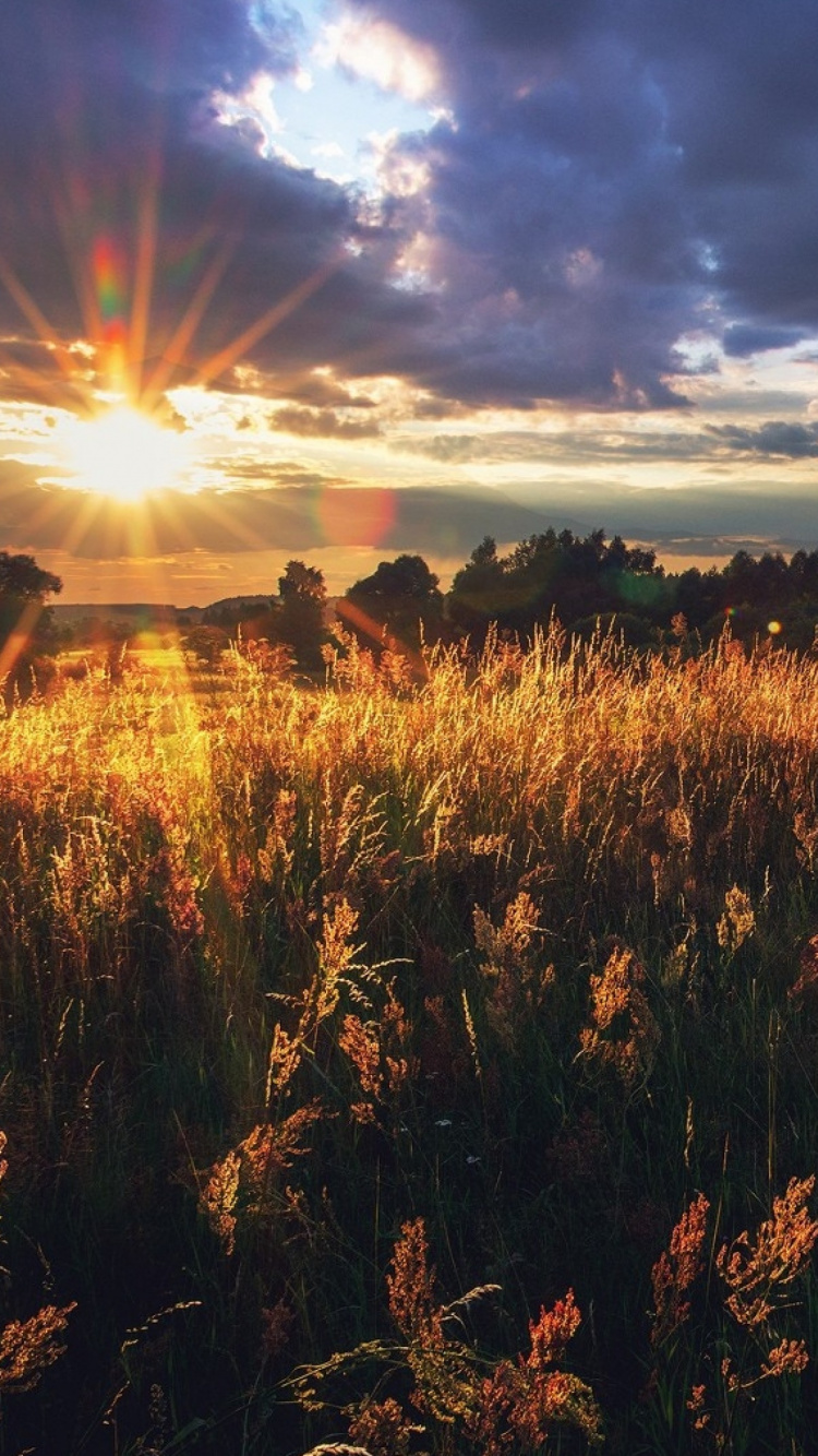 Brown Grass Field Under Cloudy Sky During Daytime. Wallpaper in 750x1334 Resolution