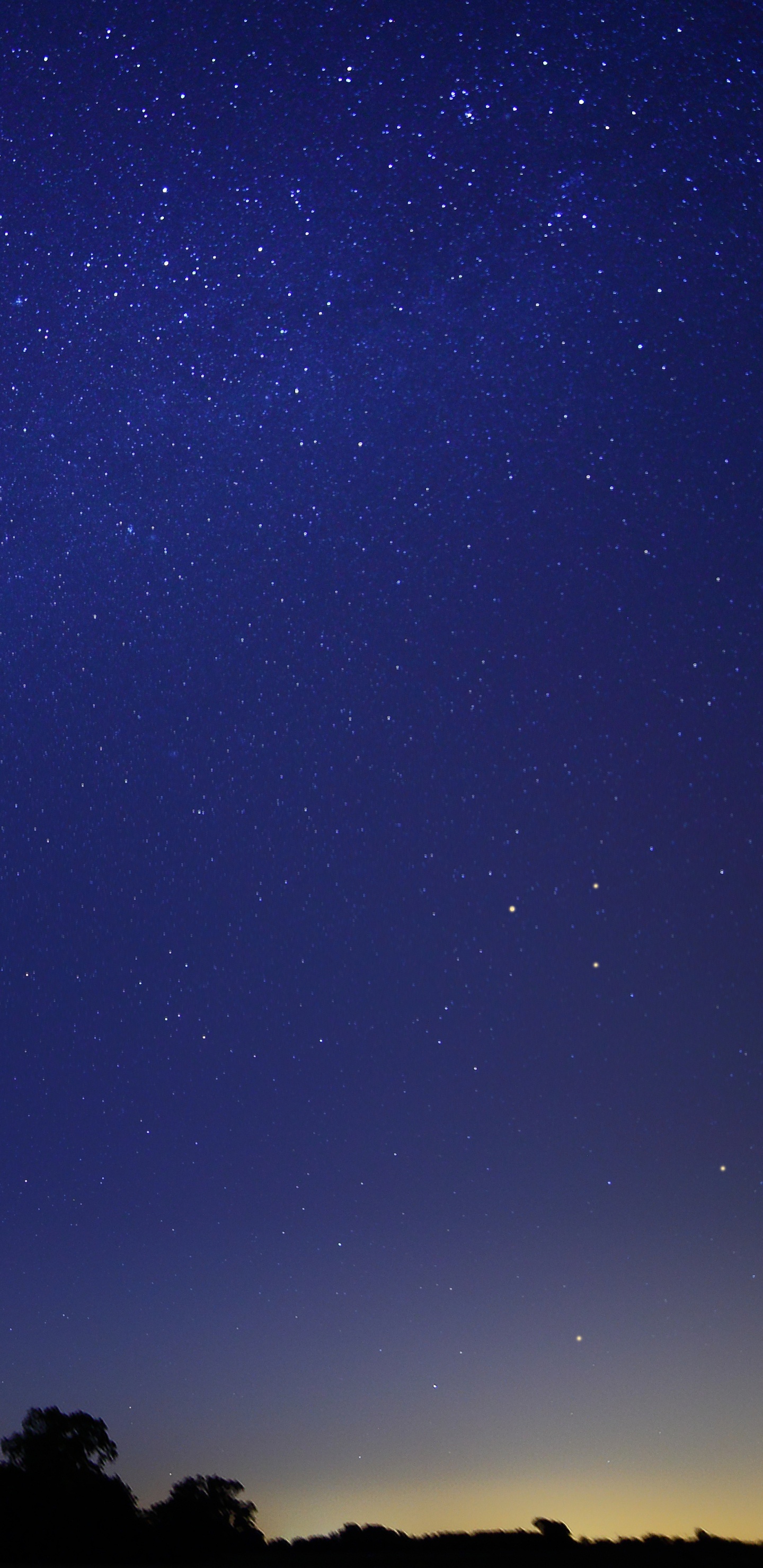 Silhouette D'arbres Sous Ciel Bleu Pendant la Nuit. Wallpaper in 1440x2960 Resolution