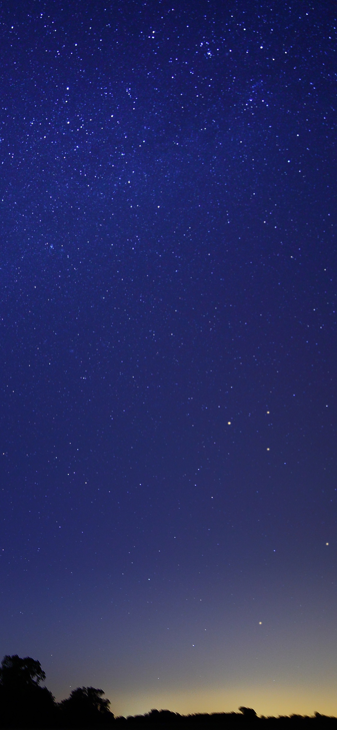 Silhouette of Trees Under Blue Sky During Night Time. Wallpaper in 1125x2436 Resolution
