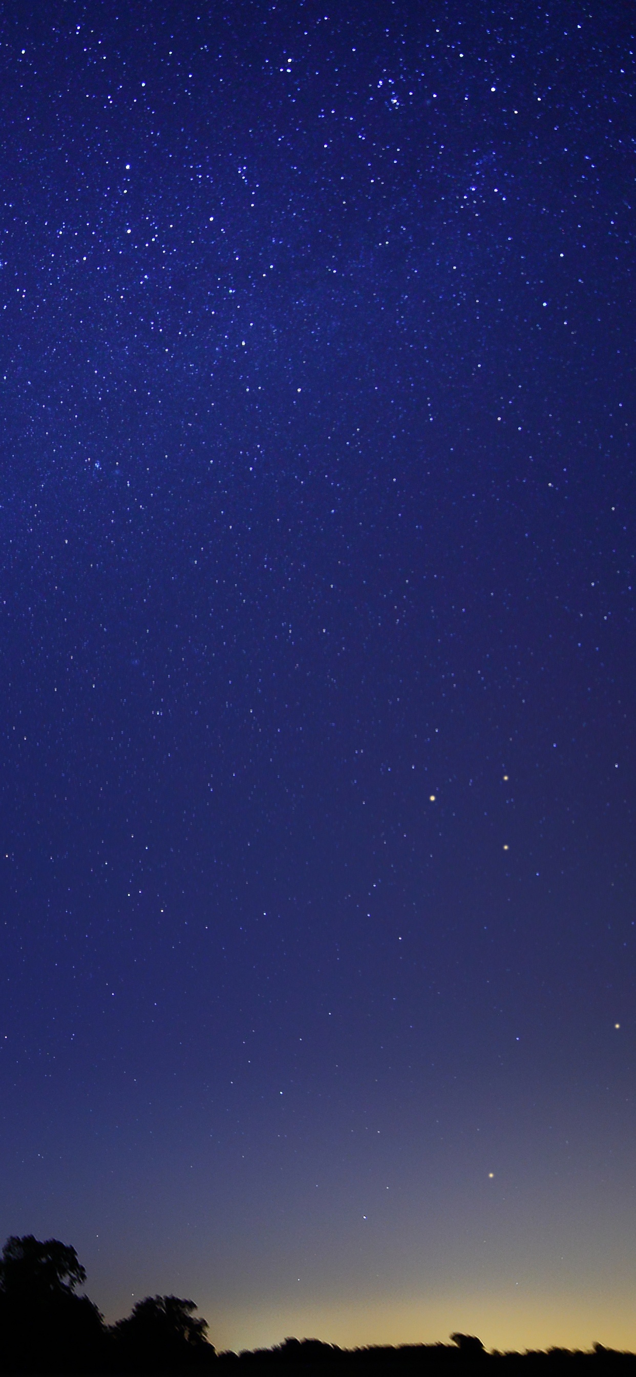 Silhouette of Trees Under Blue Sky During Night Time. Wallpaper in 1242x2688 Resolution