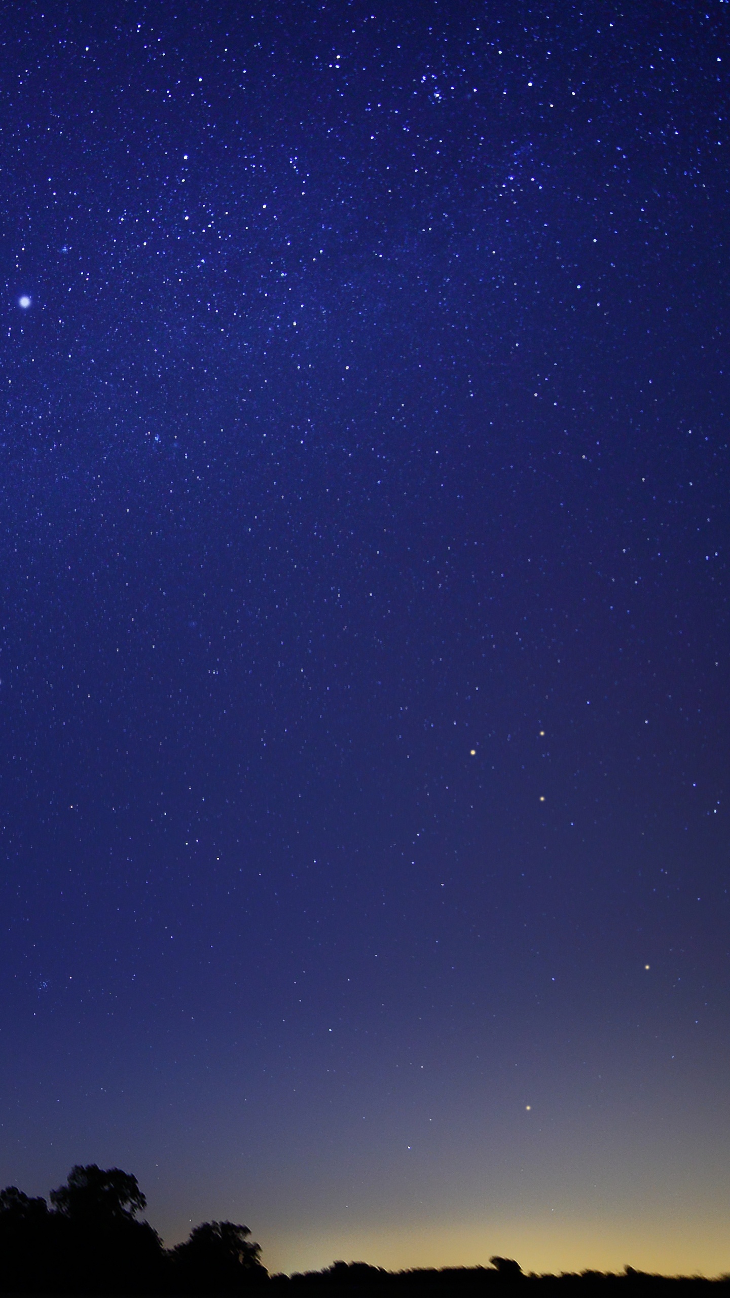 Silhouette of Trees Under Blue Sky During Night Time. Wallpaper in 1440x2560 Resolution