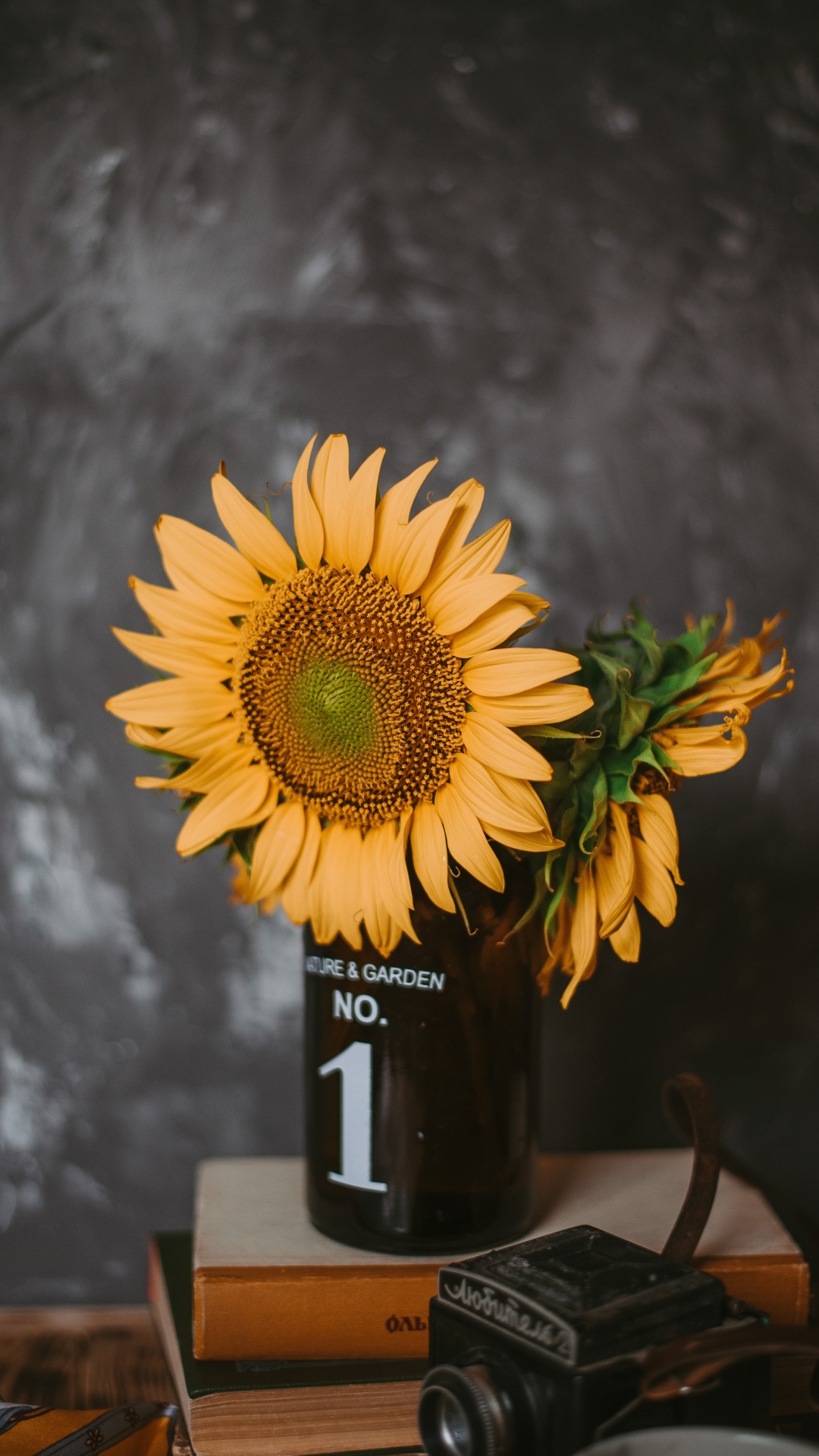 Sonnenblume in Schwarzer Glasflasche. Wallpaper in 1080x1920 Resolution