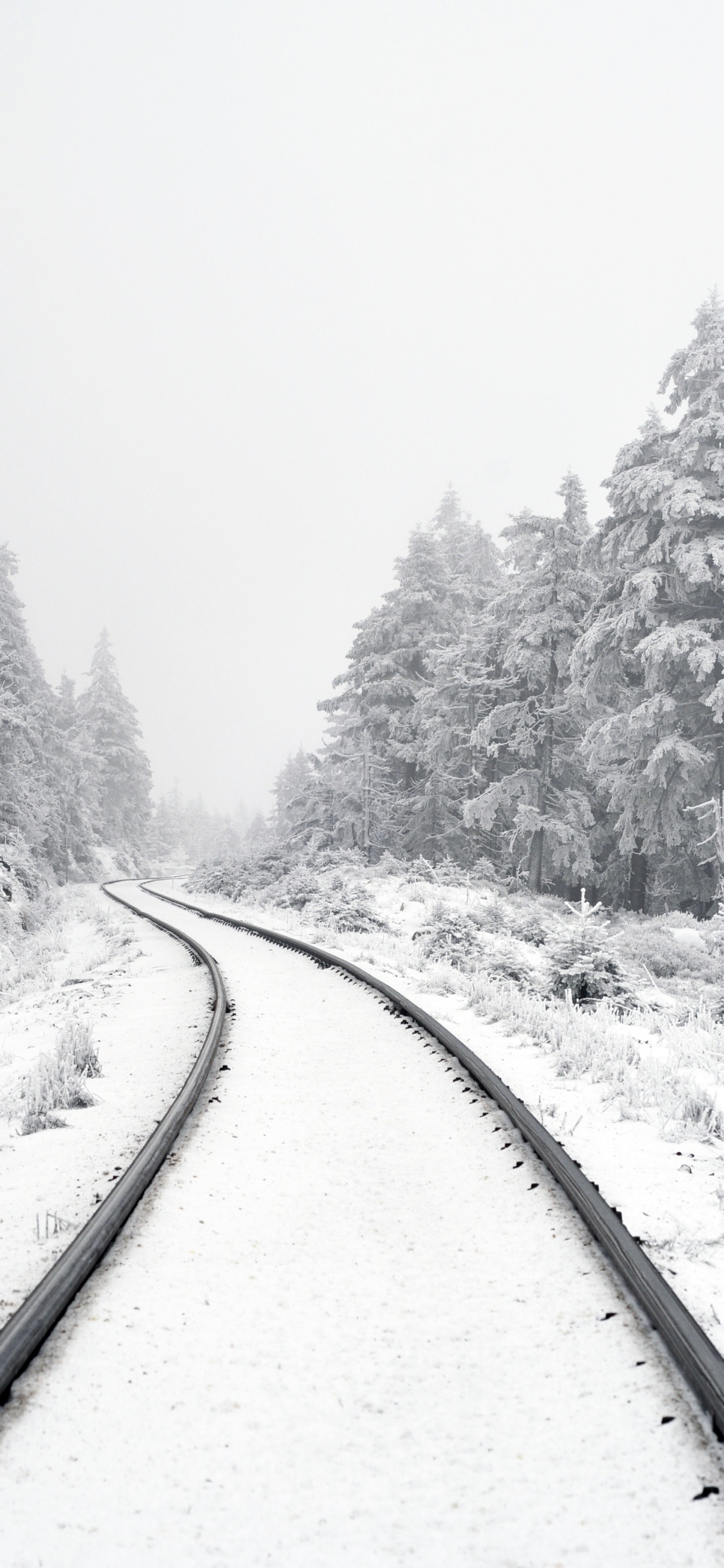 Ecriture Sur L'accomplissement, Neige, Paysage Naturel, Artère, Gris. Wallpaper in 1242x2688 Resolution