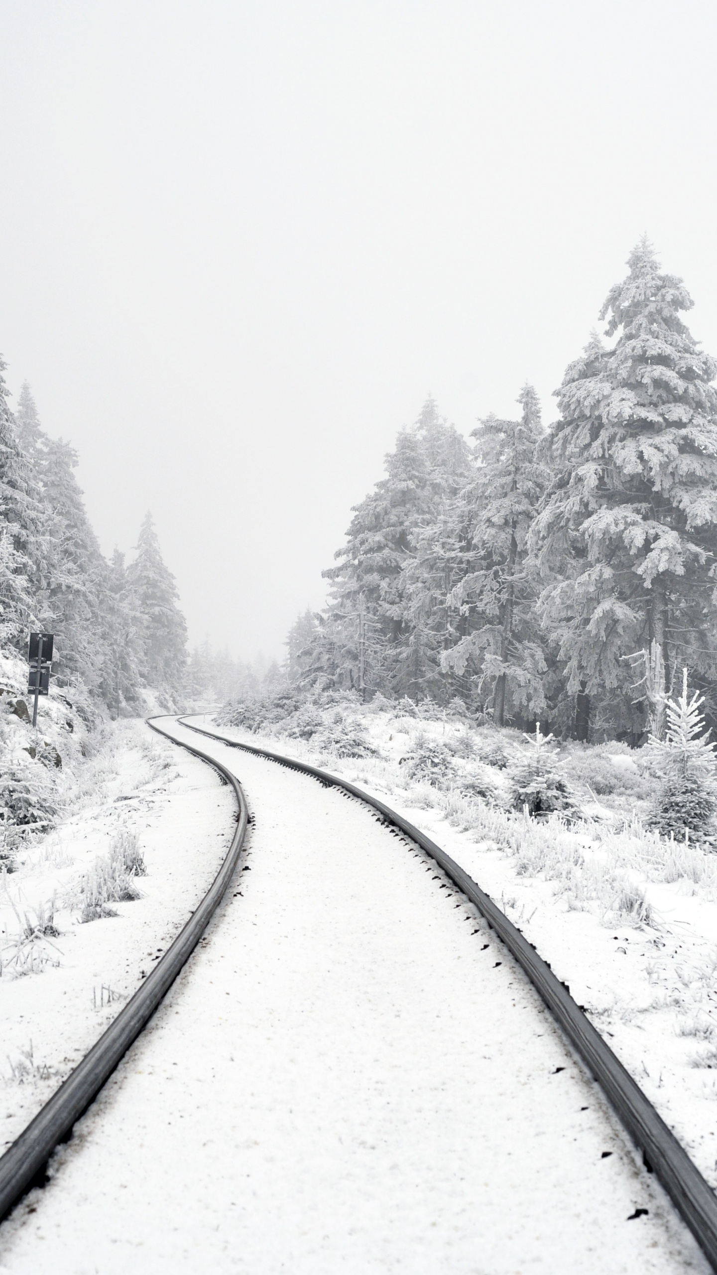 Ecriture Sur L'accomplissement, Neige, Paysage Naturel, Artère, Gris. Wallpaper in 1440x2560 Resolution