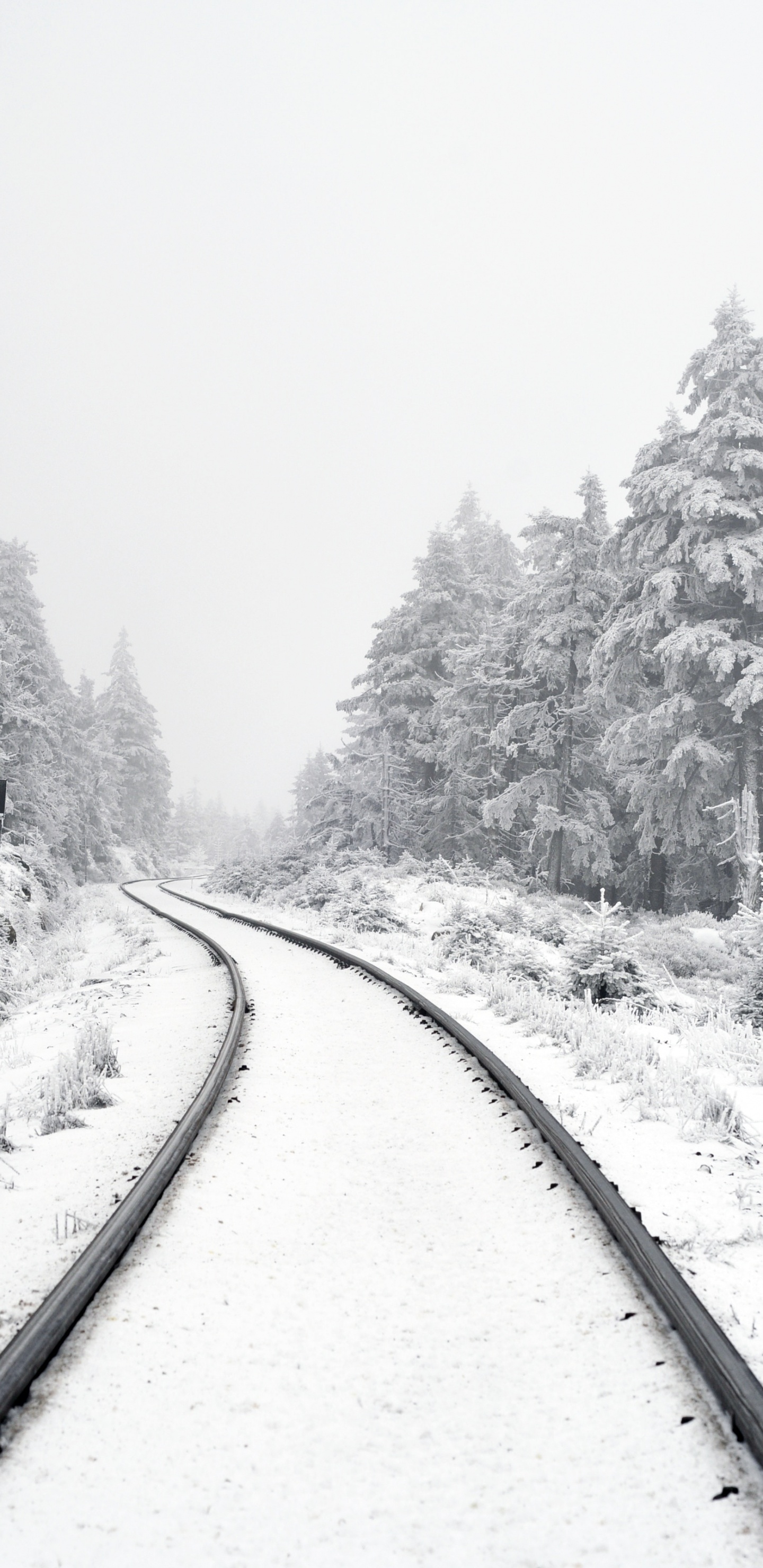 Ecriture Sur L'accomplissement, Neige, Paysage Naturel, Artère, Gris. Wallpaper in 1440x2960 Resolution