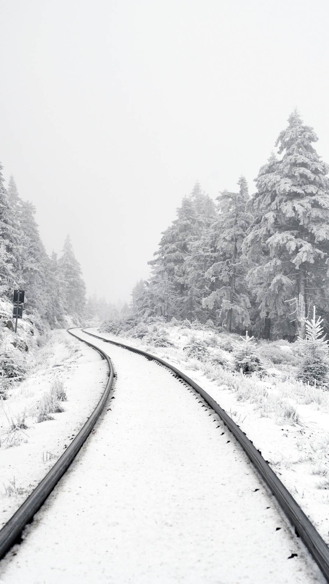 Escritura Sobre el Cumplimiento, Nieve, Sucursal, Paisaje Natural, Calle. Wallpaper in 1080x1920 Resolution