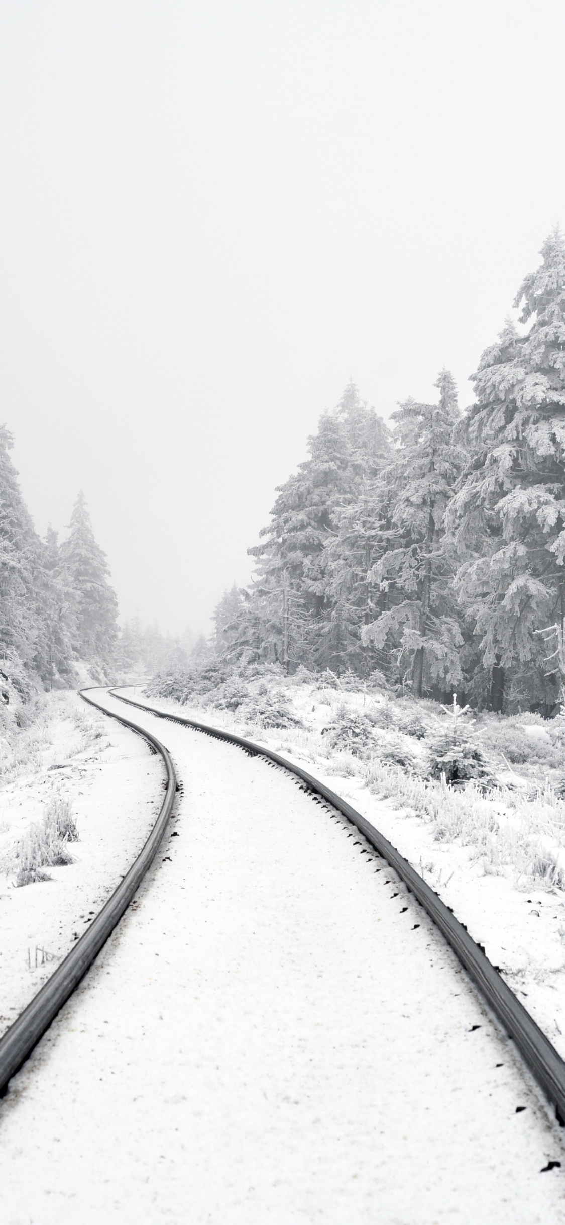 Escritura Sobre el Cumplimiento, Nieve, Sucursal, Paisaje Natural, Calle. Wallpaper in 1125x2436 Resolution