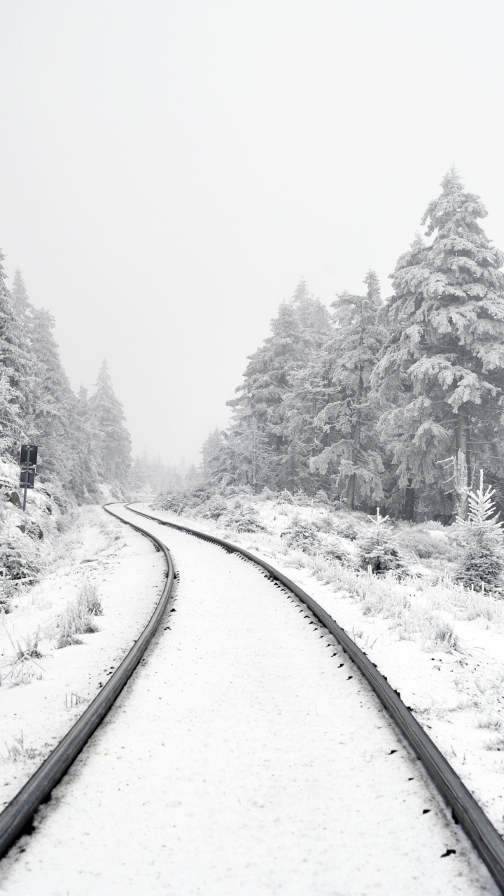 Escritura Sobre el Cumplimiento, Nieve, Sucursal, Paisaje Natural, Calle. Wallpaper in 720x1280 Resolution