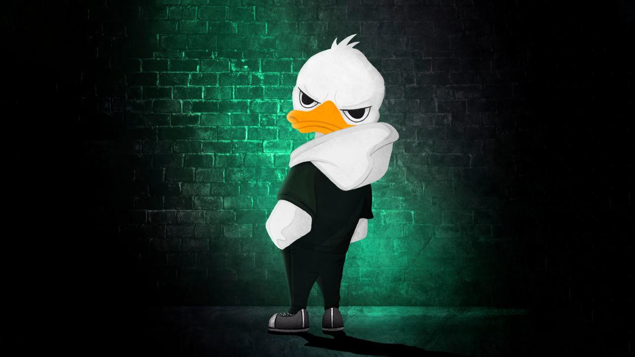 Street Duck. Wallpaper in 1280x720 Resolution