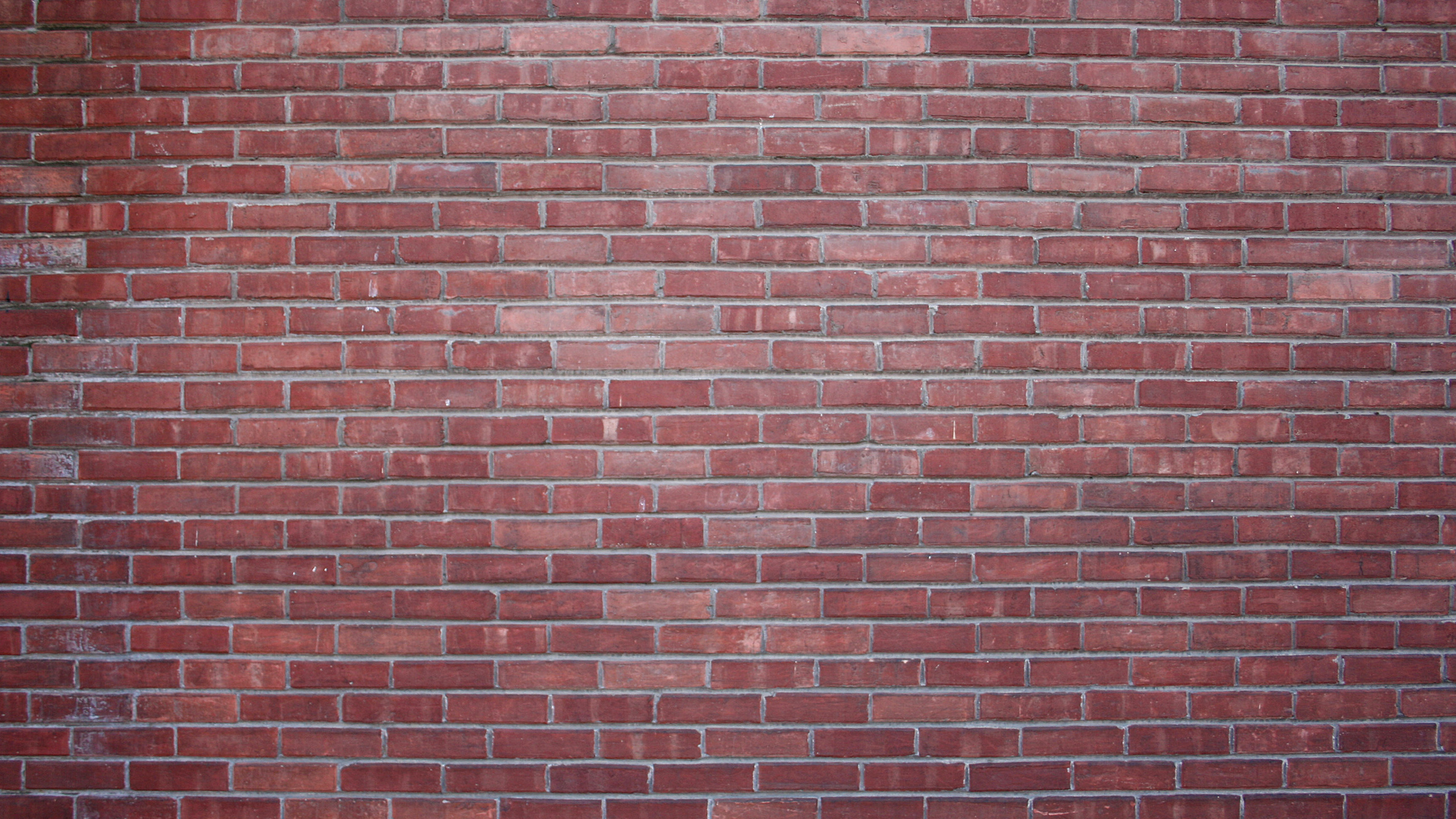 Pared de Ladrillo Marrón Durante el Día.. Wallpaper in 2560x1440 Resolution