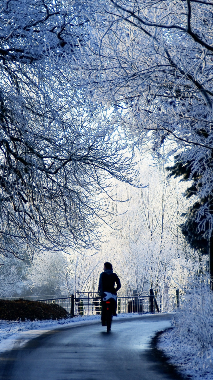 Personne en Veste Rouge Marchant Sur le Sentier Entre Les Arbres. Wallpaper in 750x1334 Resolution