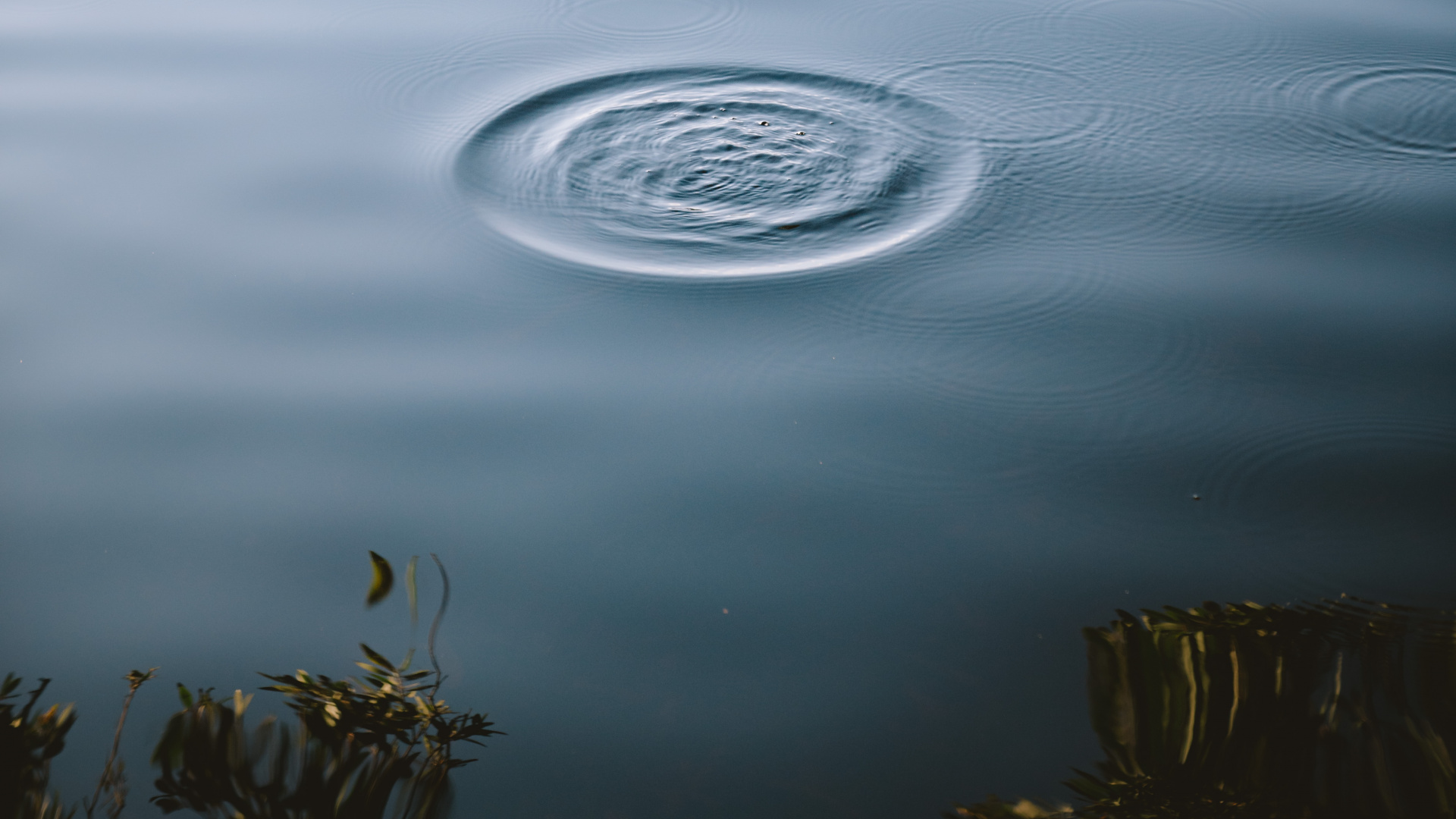 Calm, Statue, Water, Tree, Lake. Wallpaper in 1920x1080 Resolution