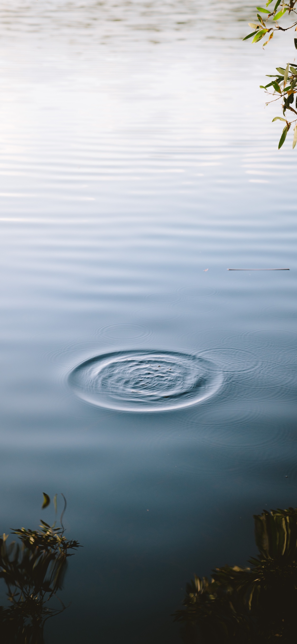 Ruhe, Statue, Wasser, Baum, See. Wallpaper in 1125x2436 Resolution