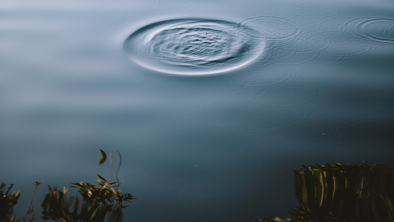 Ruhe, Statue, Wasser, Baum, See. Wallpaper in 1280x720 Resolution