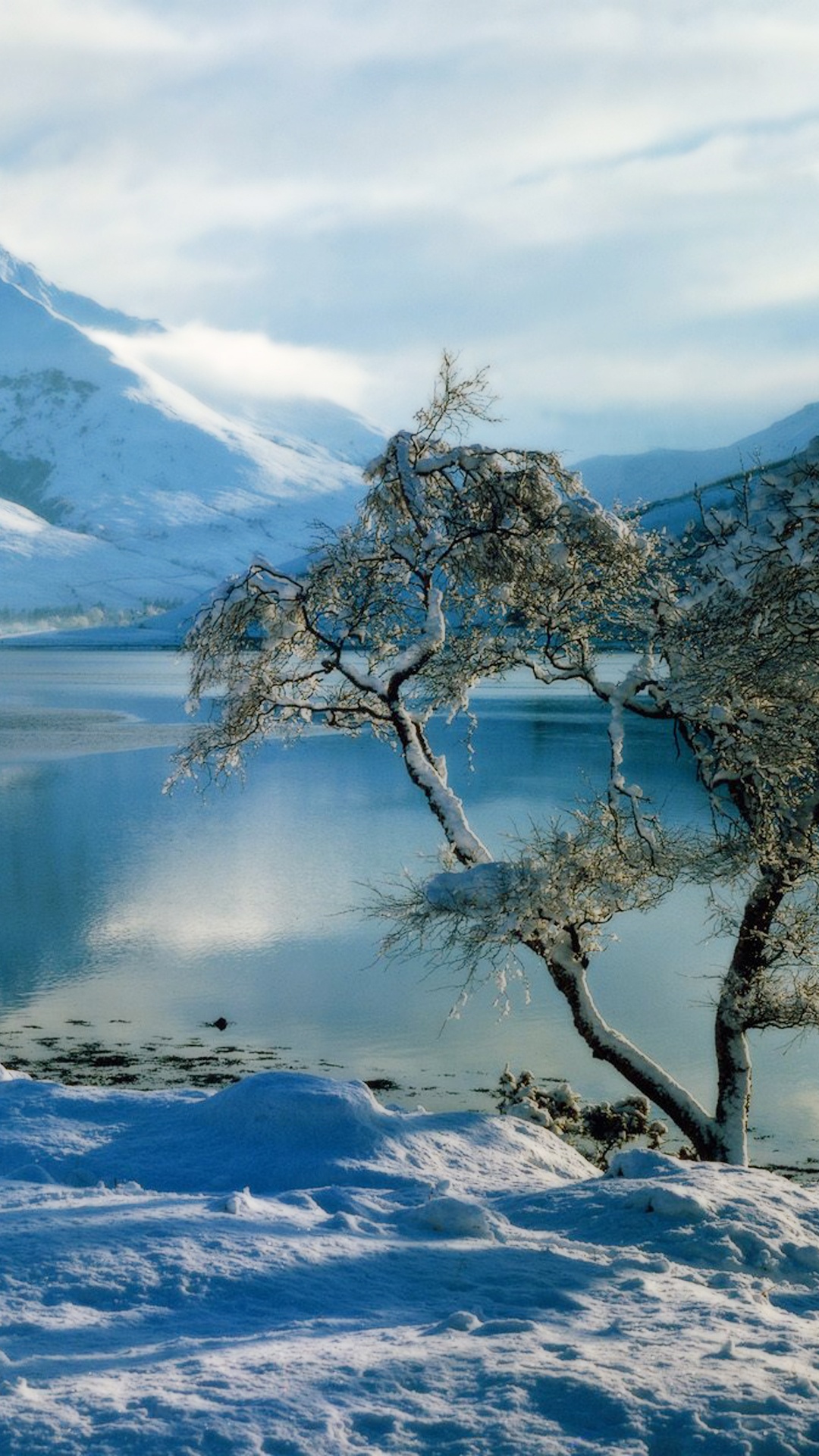 Schneebedeckter Berg in Der Nähe Des Sees Tagsüber. Wallpaper in 1080x1920 Resolution