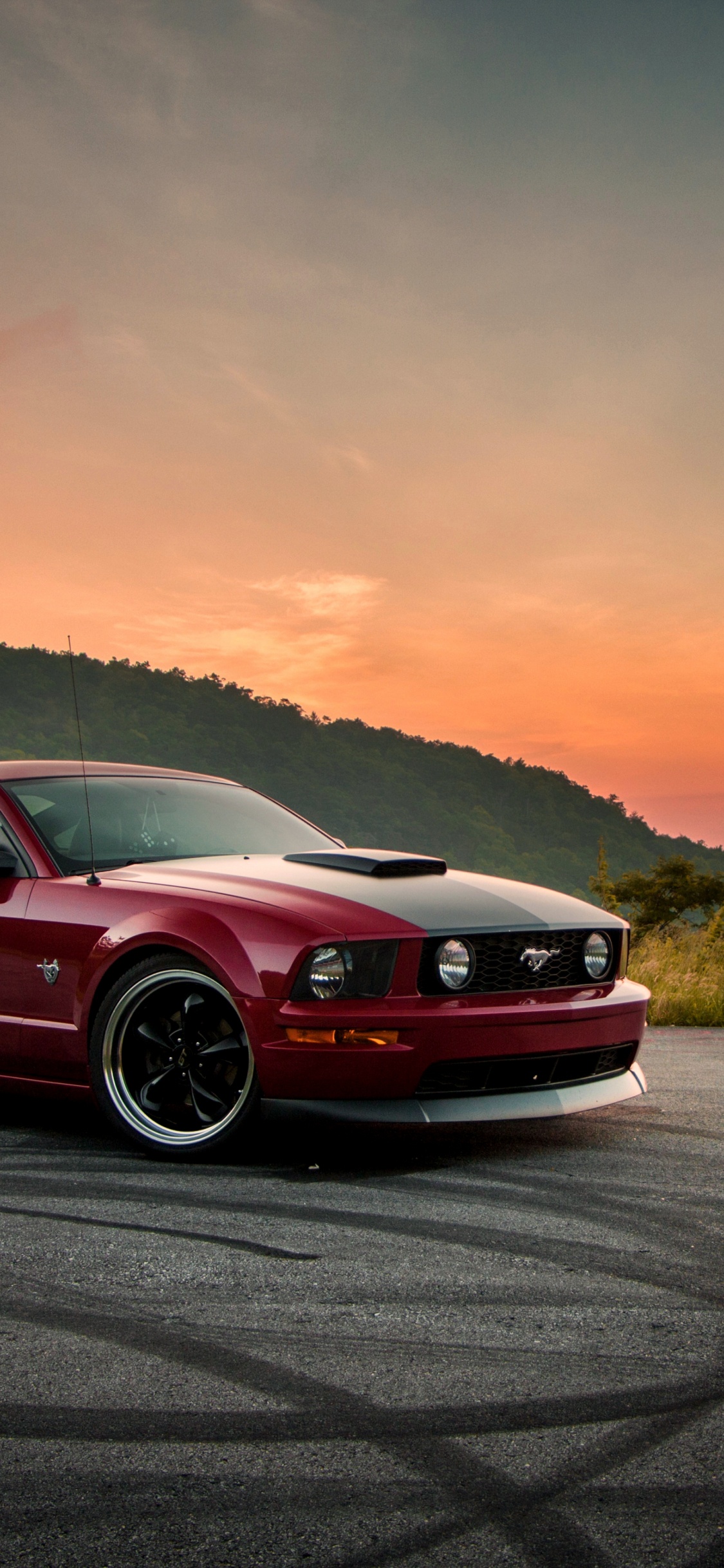Ford Mustang, Coche, Mustang Boss 302, Carro de Lujo, Deportivo. Wallpaper in 1125x2436 Resolution